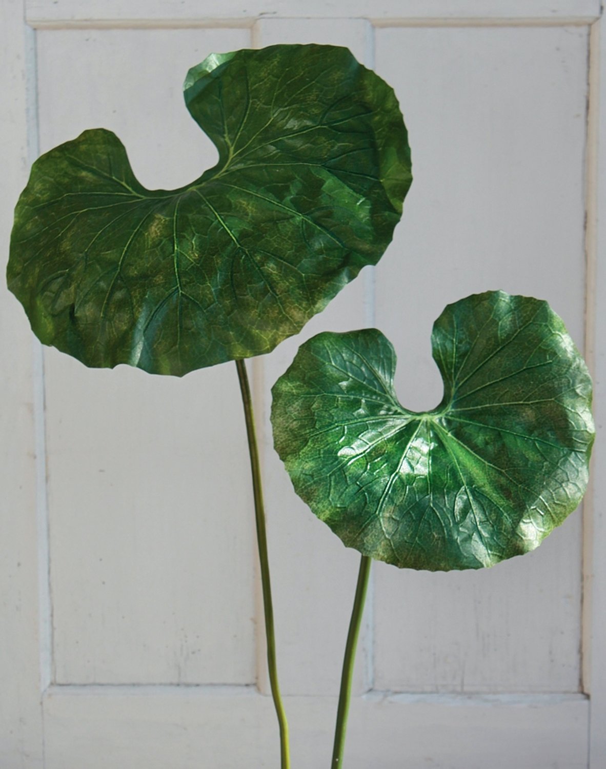 Künstliches Lotosblatt, 90 cm, Ø 30 cm, grün