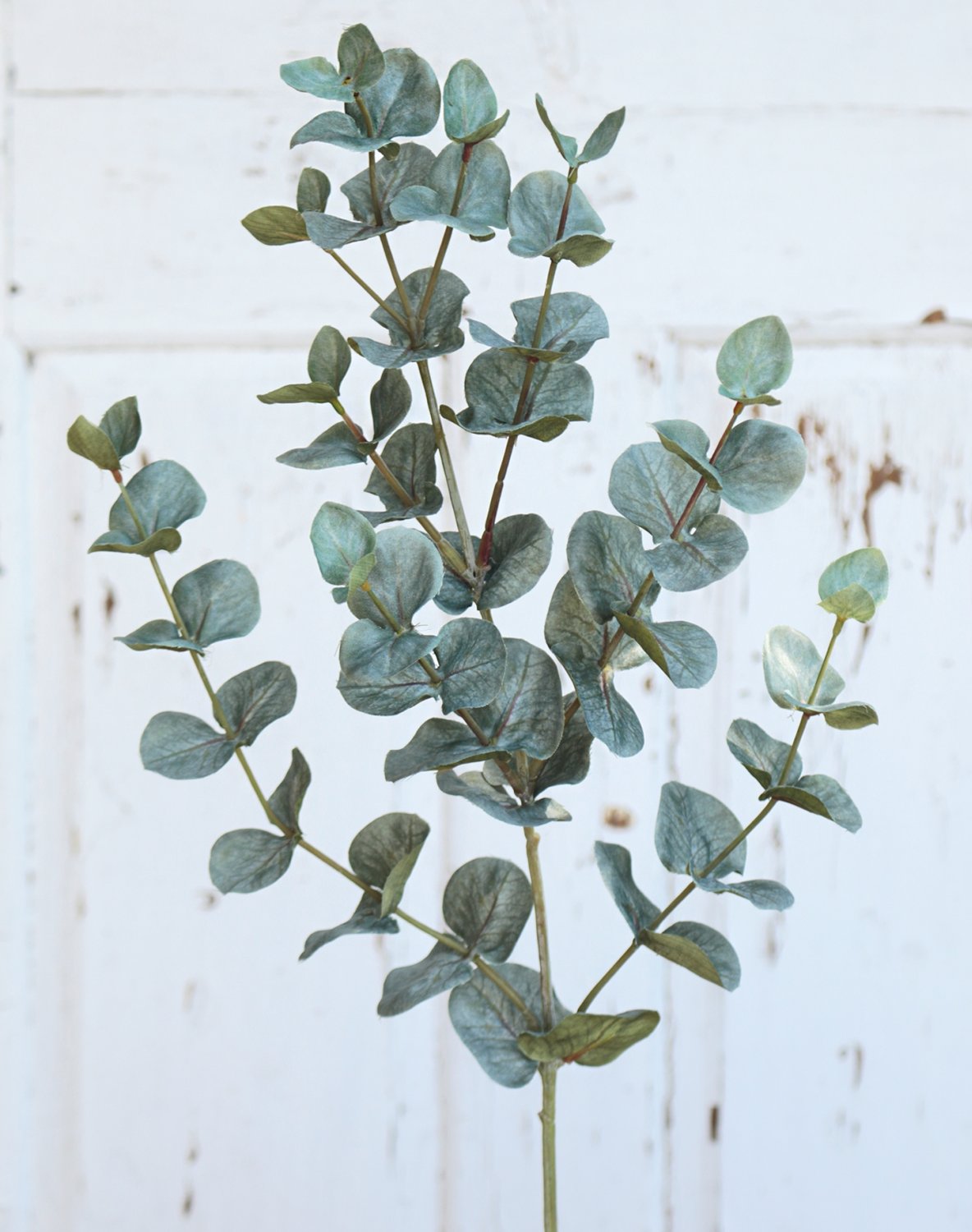 Künstlicher Eukalyptuszweig, 74 cm, grün