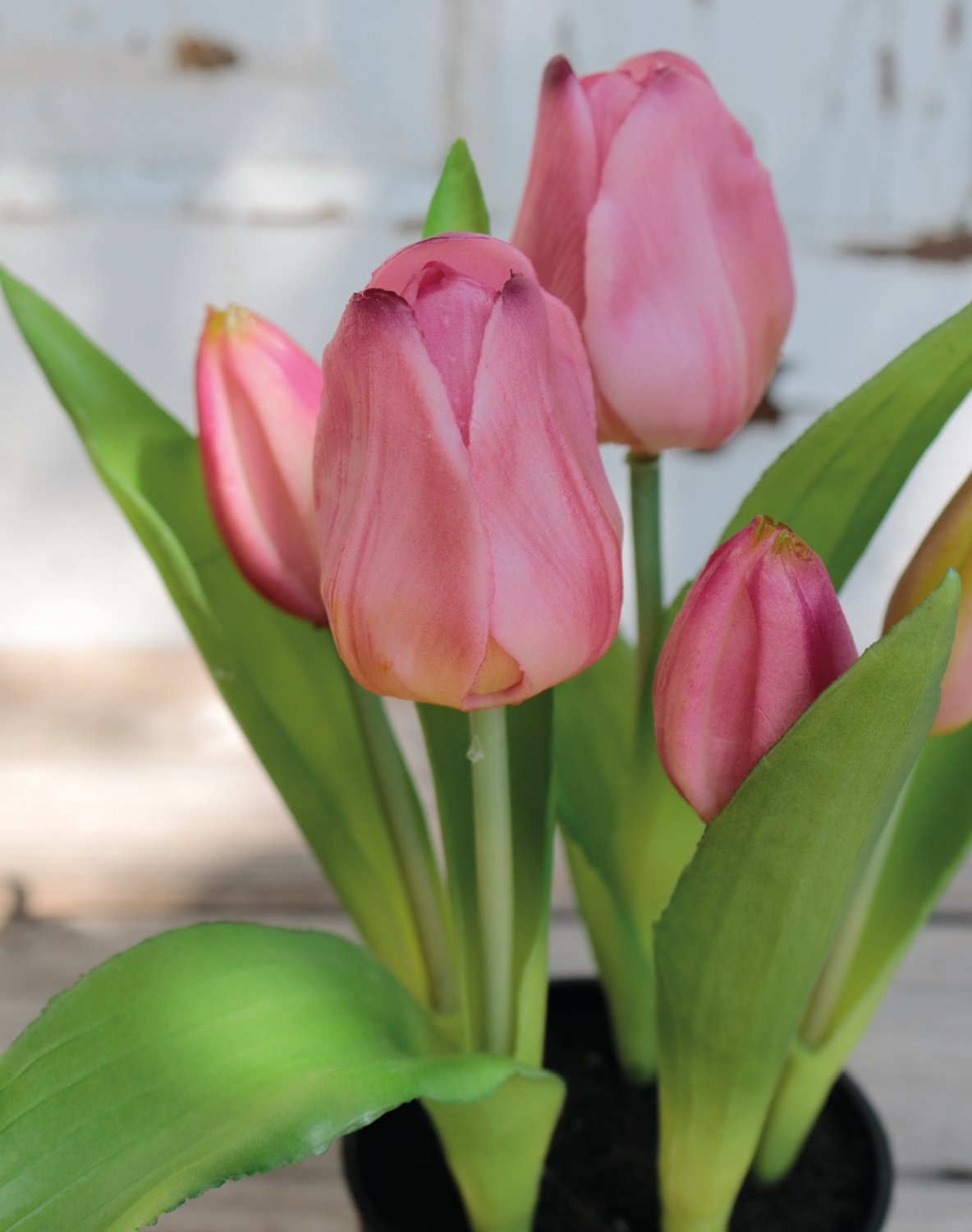 Künstliche Tulpen, getopft, 5-fach, 25 cm, Real Touch, hellviolett