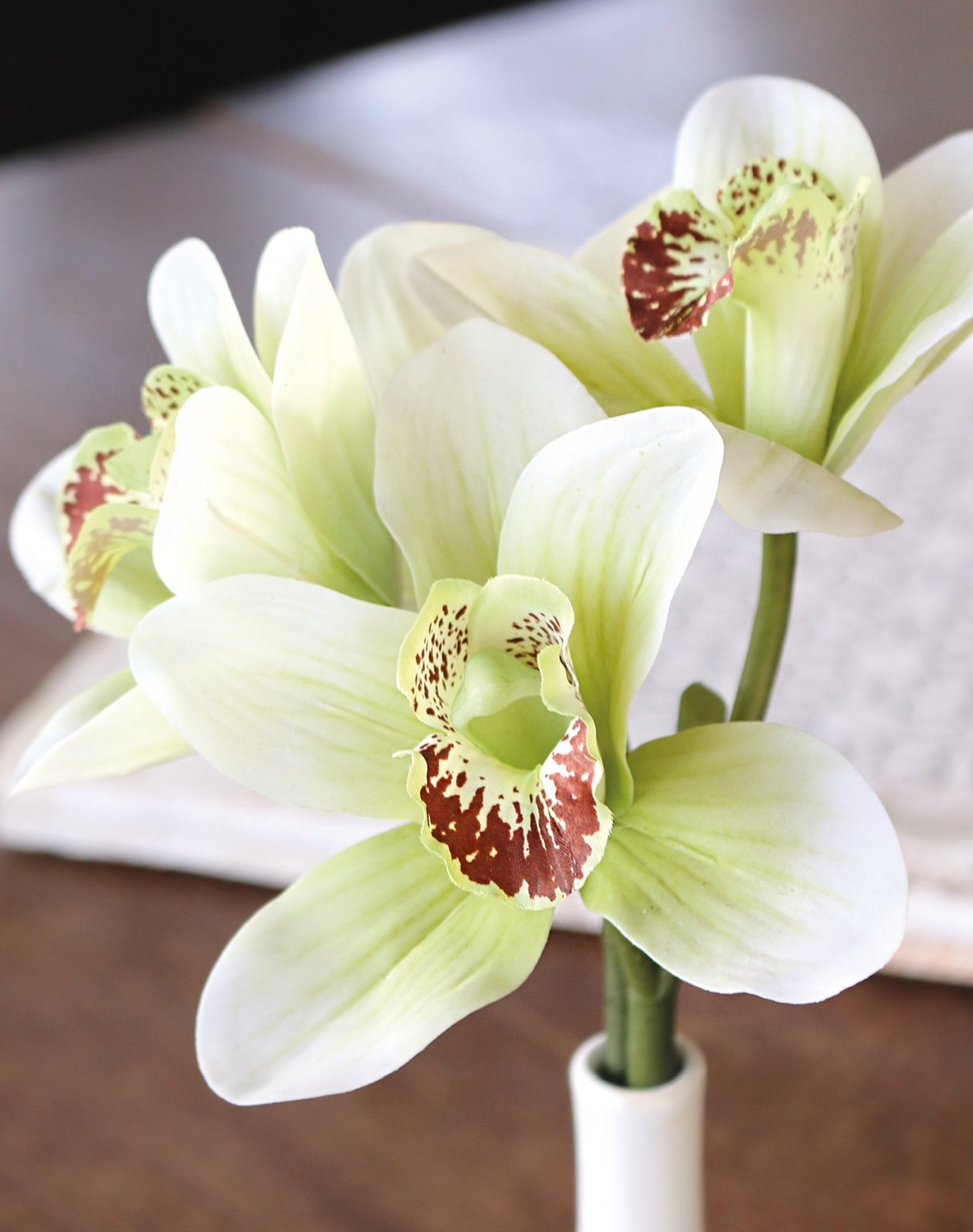 Silk orchid cymbidium in vase, 27 cm, real touch, beige-green
