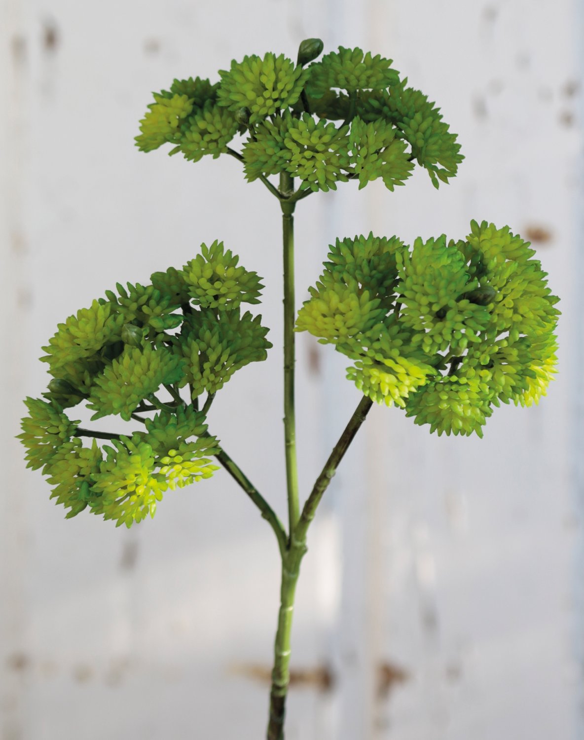 Artificial sedum branch, 32 cm, green