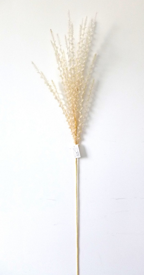 Branche de panicum virgatum en mousse EVA, 98 cm, abricot