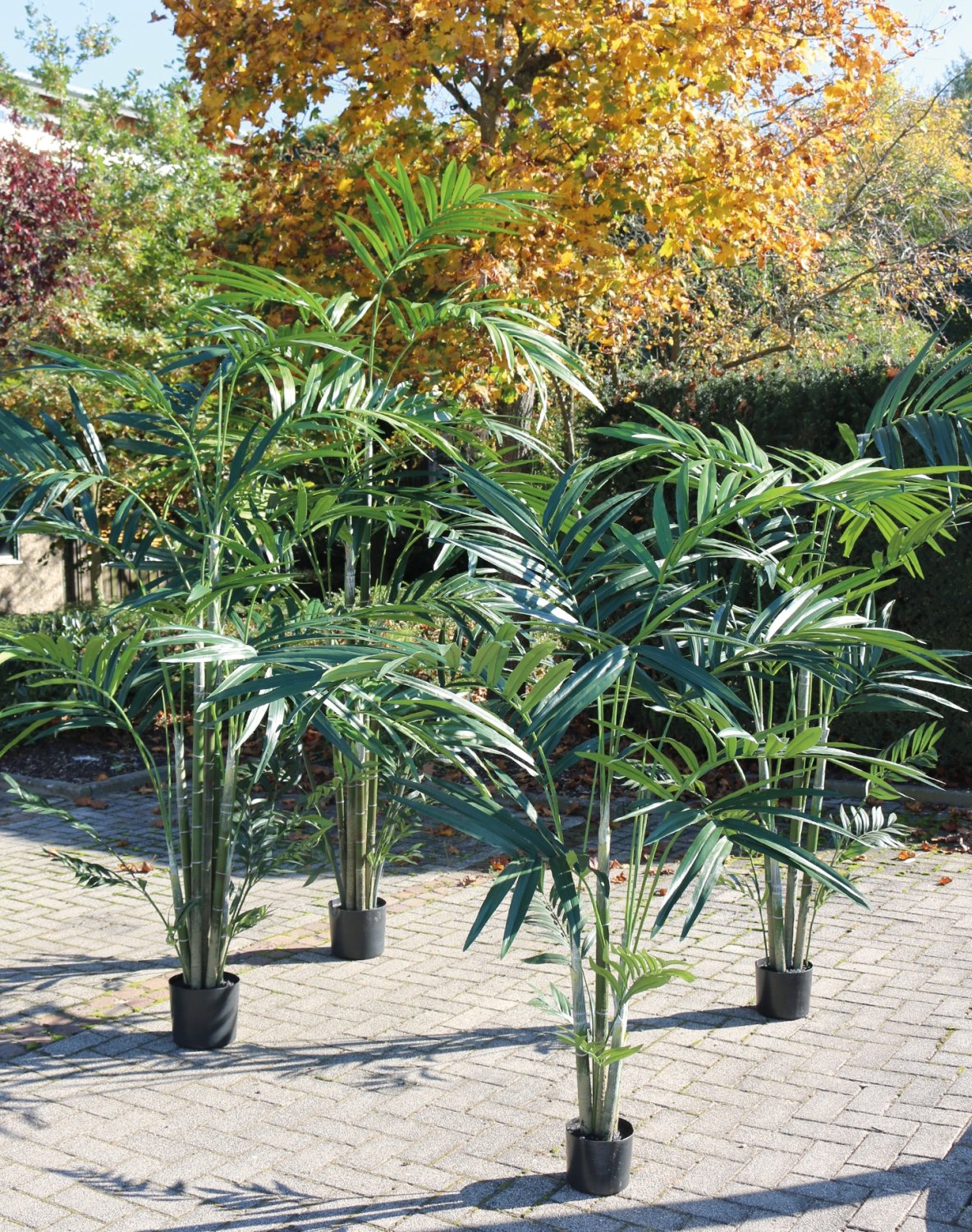 Künstliche Kentia-Palme, getopft, 210 cm, grün