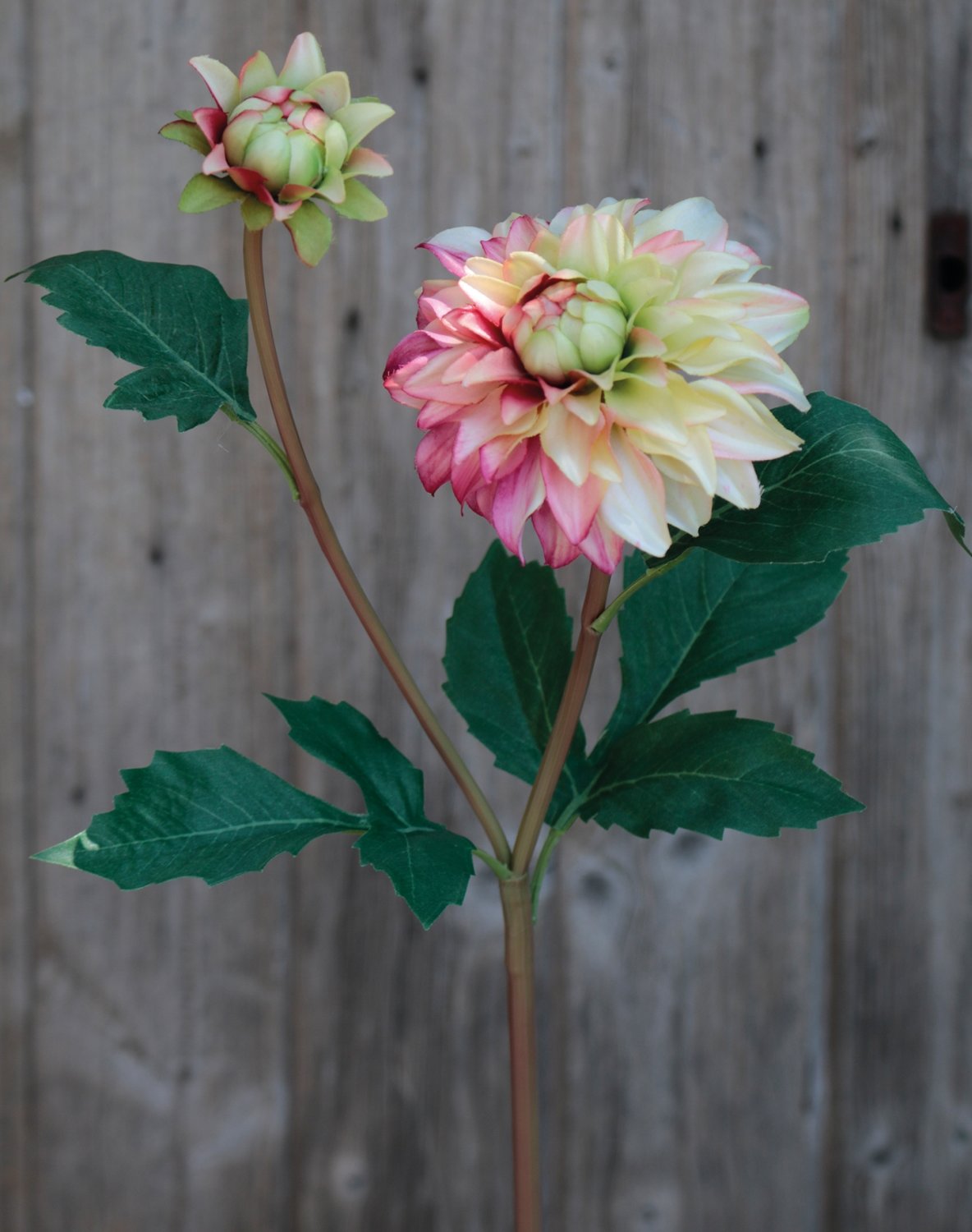 Plastic dahlia, 56 cm, yellow-pink