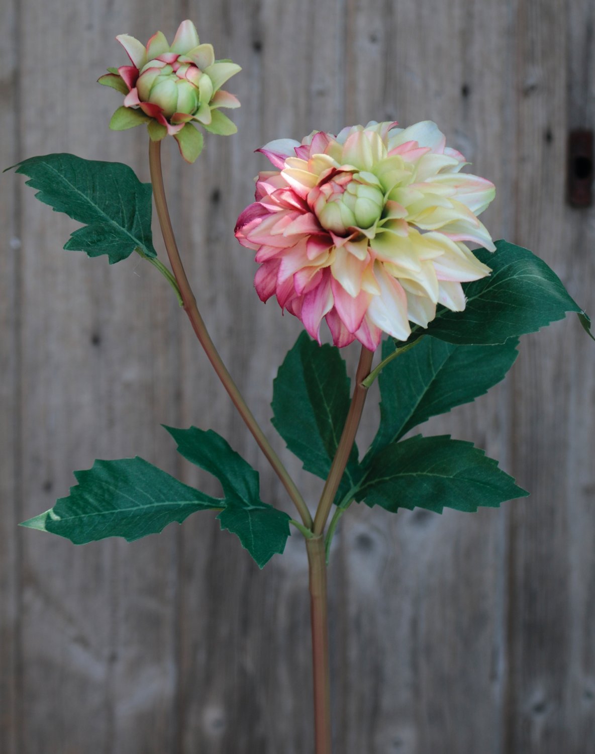 Dalia artificial, 56 cm, amarillo-rosa Dalia artificial, 56 cm, amarillo-rosa