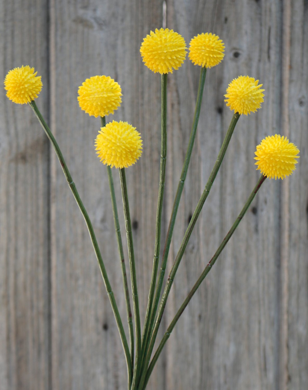 Craspedia globosa artificiale, 63 cm, giallo