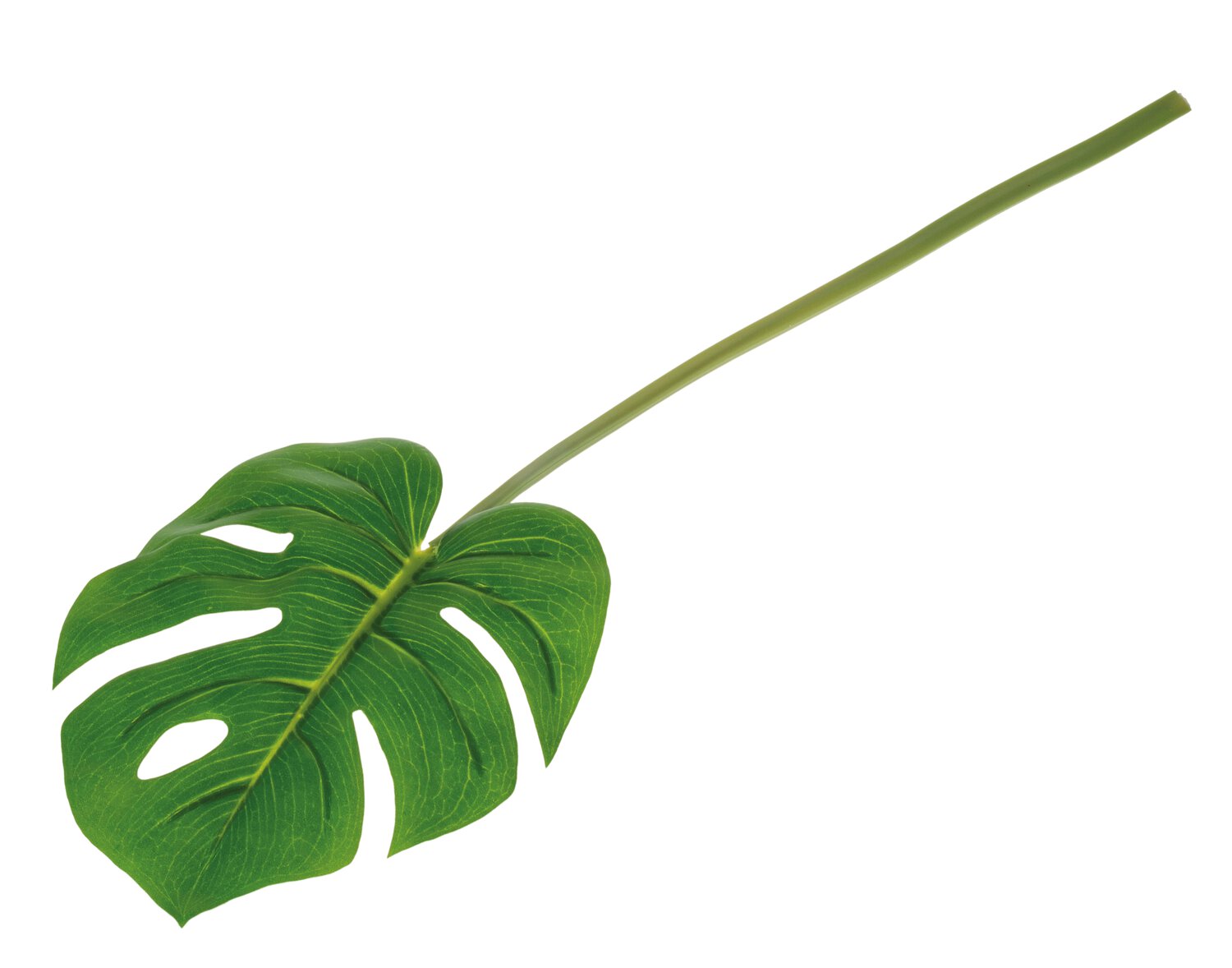 Faux swiss cheese plant leaf, 50 cm, green