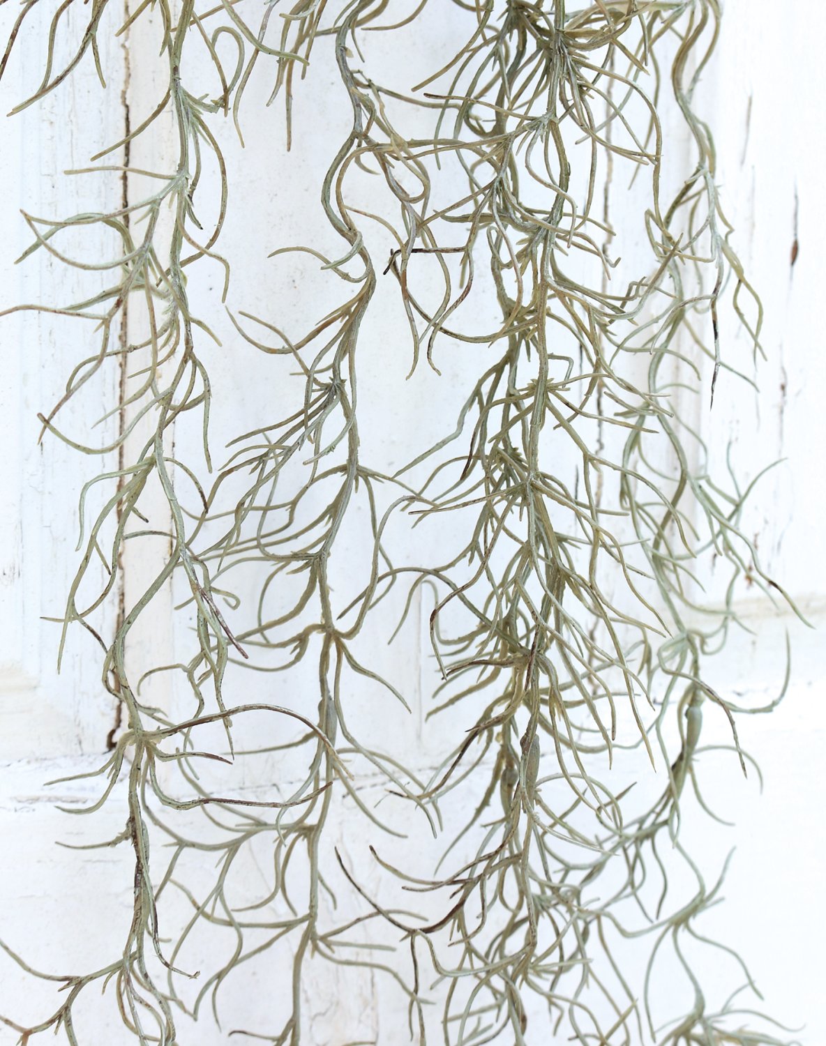 Künstlicher Mooshänger, 5-fach, 100 cm, frost-grün Künstlicher Mooshänger, 5-fach, 100 cm, frost-grün