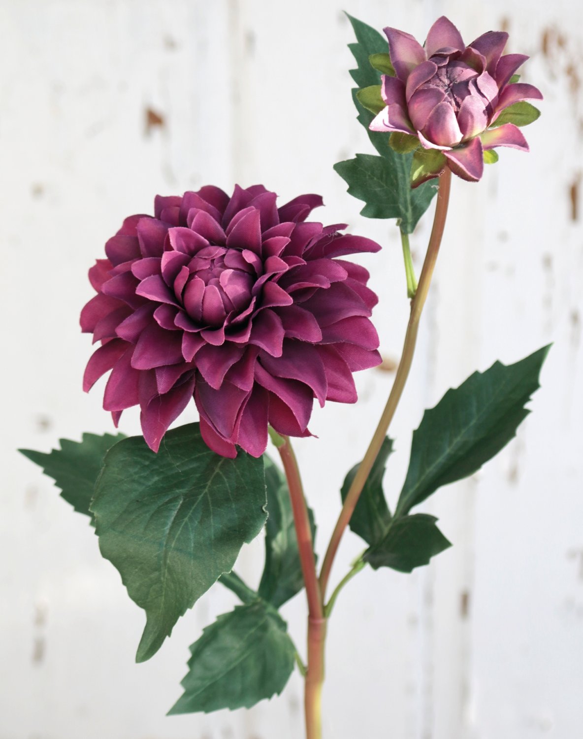 Silk dahlia, 56 cm, trendy purple