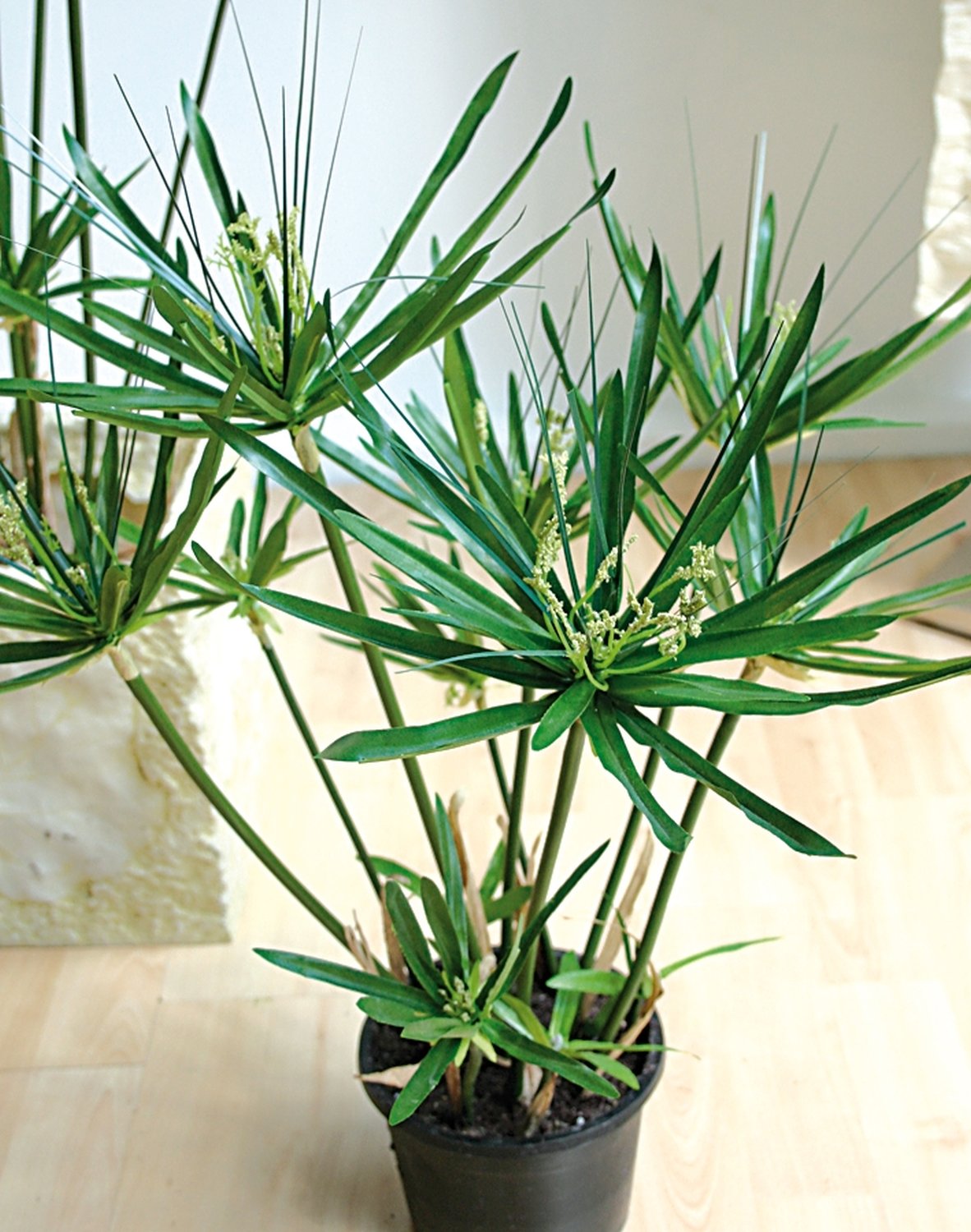 Erba artificiale di cyperus, in vaso, 55 cm, verde