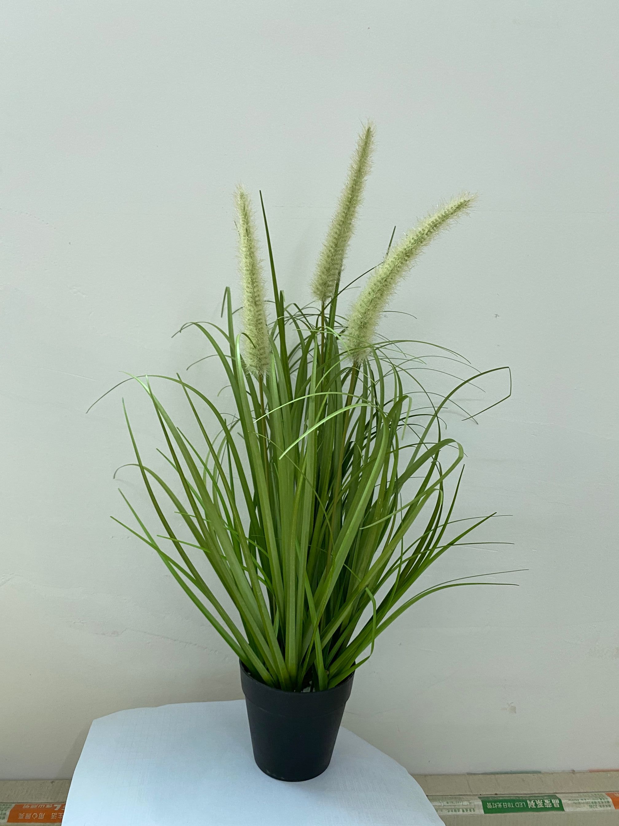 Artificial grass tuft 'Lampbush Grass', potted, 50 cm, green Artificial grass tuft 'Lampbush Grass', potted, 50 cm, green