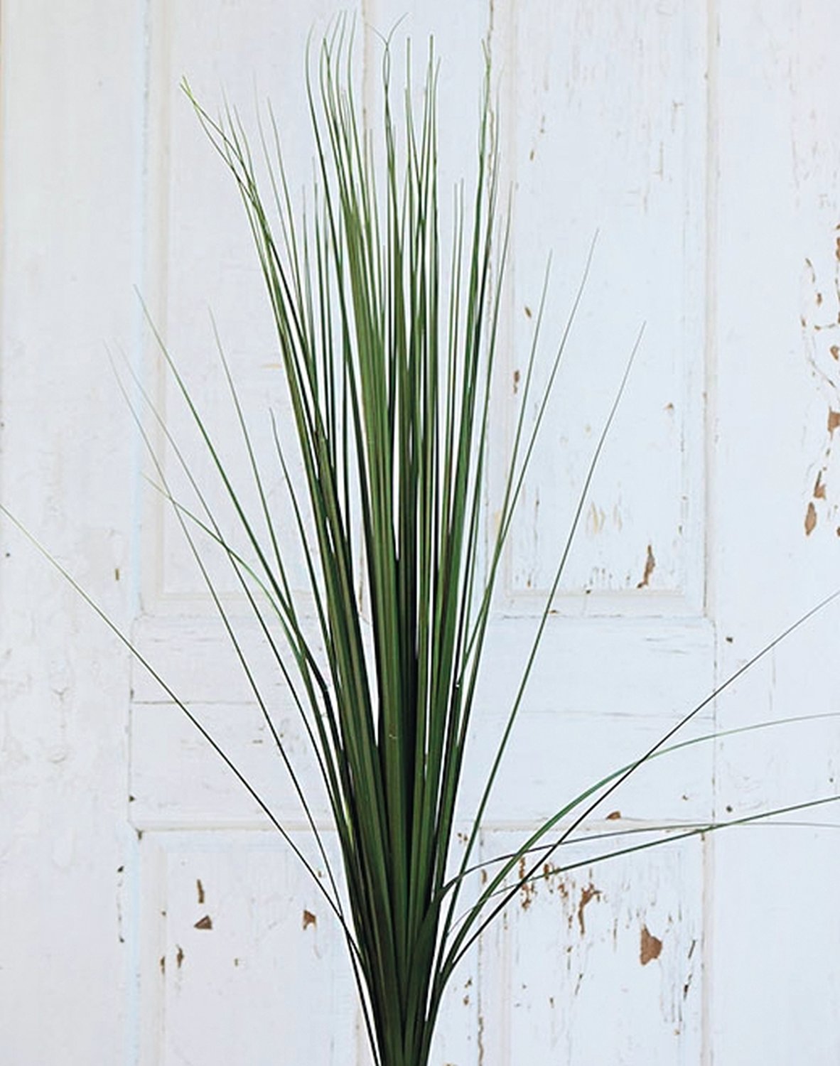 Artificial Chinese silver grass, 157 cm, green Artificial Chinese silver grass, 157 cm, green