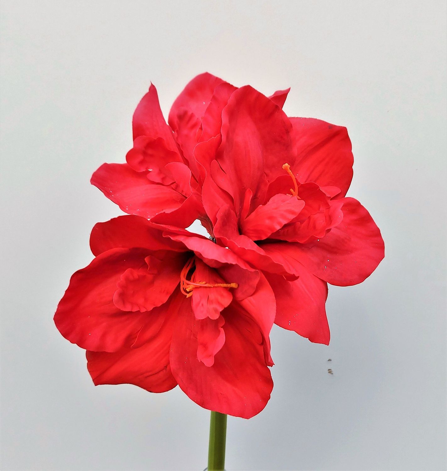 Amaryllis artificiale "Deluxe", 61 cm, rosso