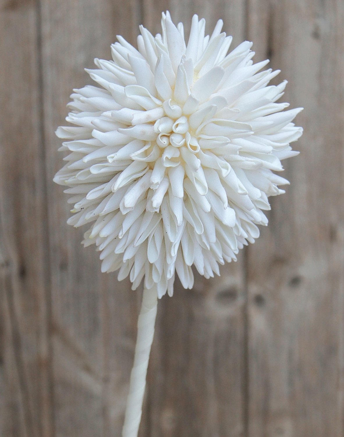 Künstlicher Soft flower 'Allium', 80 cm, pur weiß
