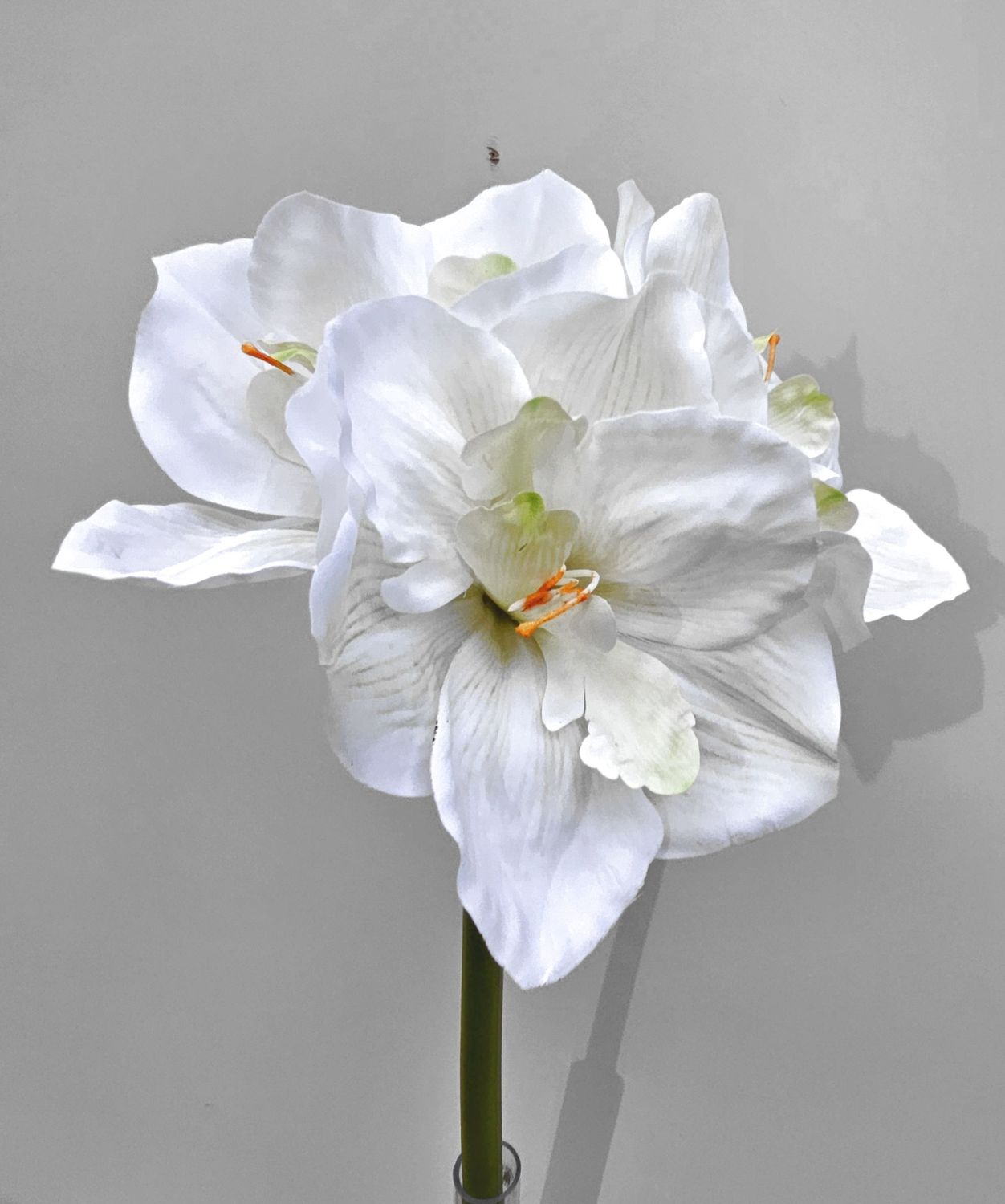 Artificial amaryllis "Deluxe", 61 cm, cream-white