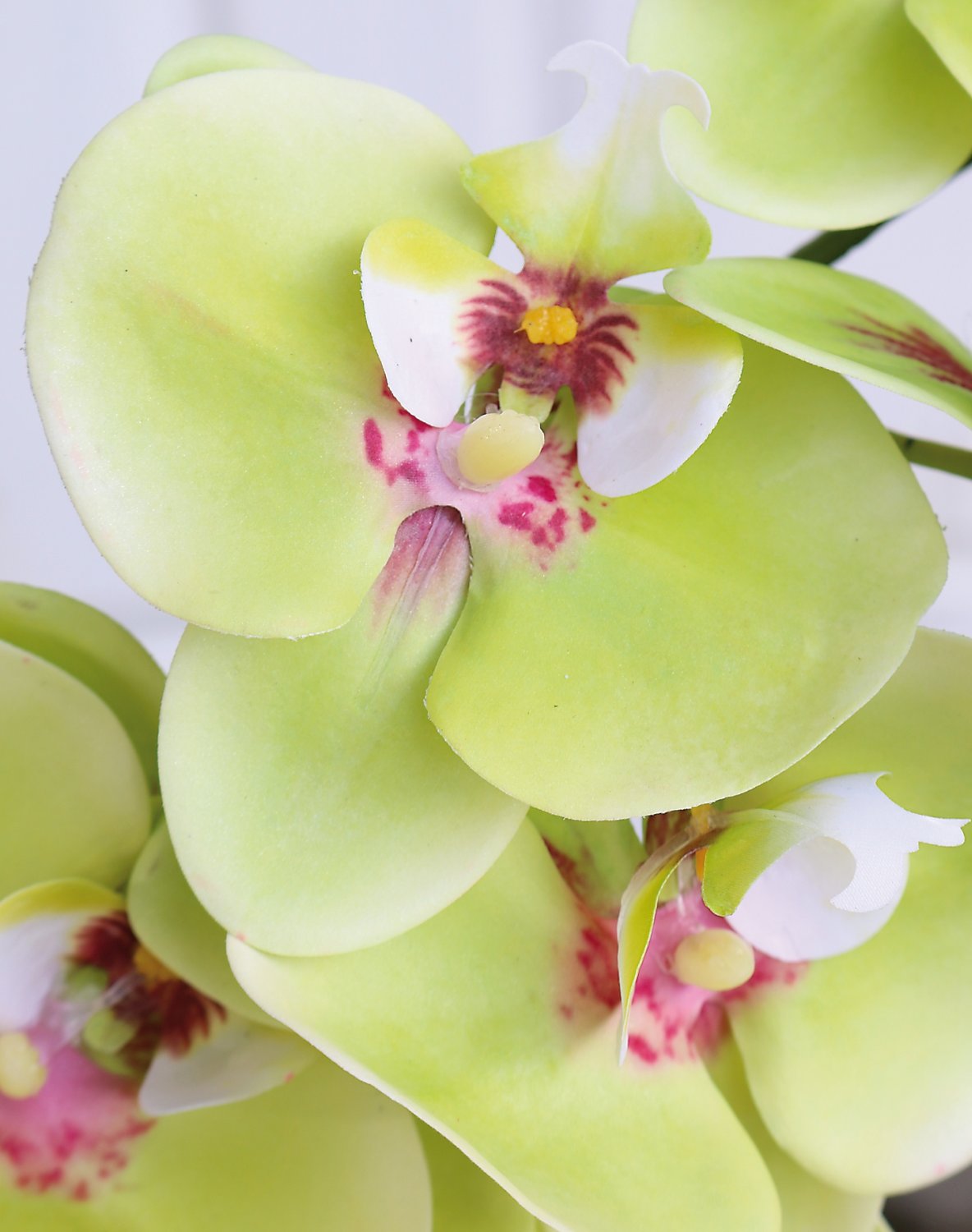 Künstliche Orchidee Phalaenopsis, 106 cm, Real Touch Soft, creme-grün
