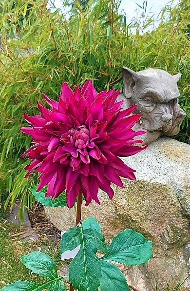 Kunstblume Dahlie, 74 cm, trendy purple