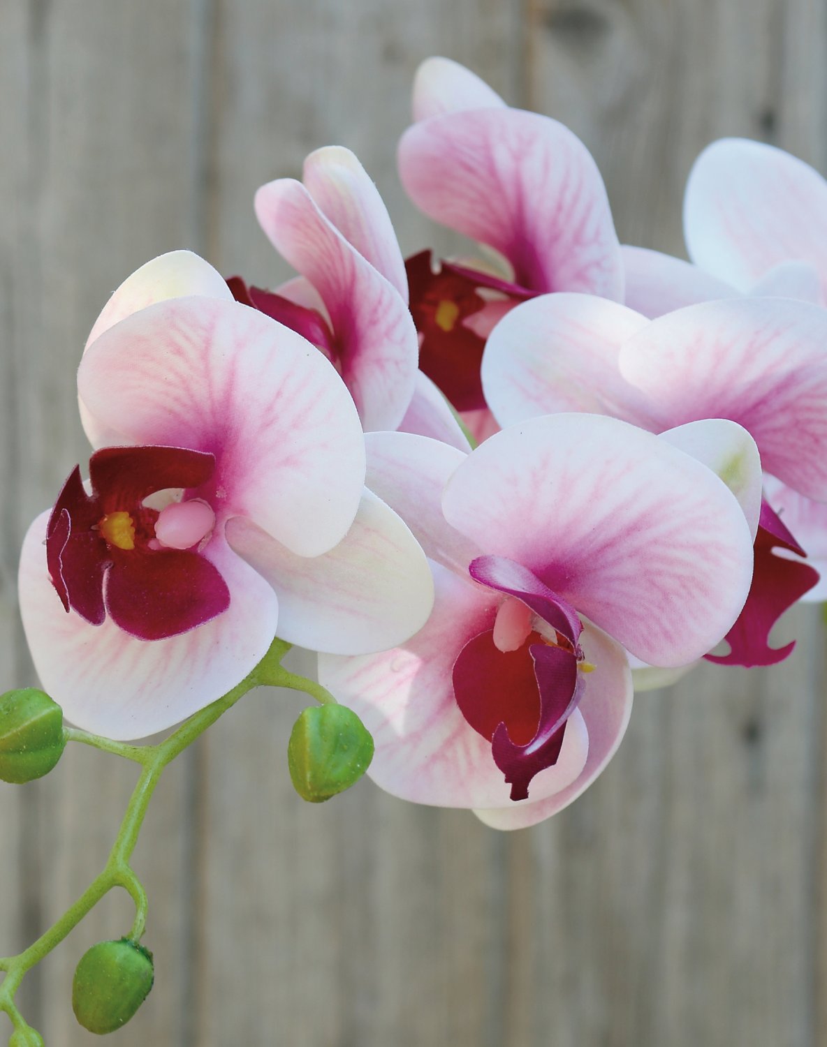 Faux orchid Phalaenopsis, 80 cm, real touch soft, rose