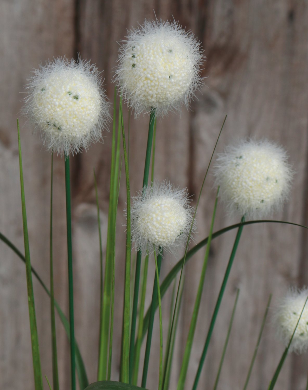 Artificial grass ball, 75 cm, green-white