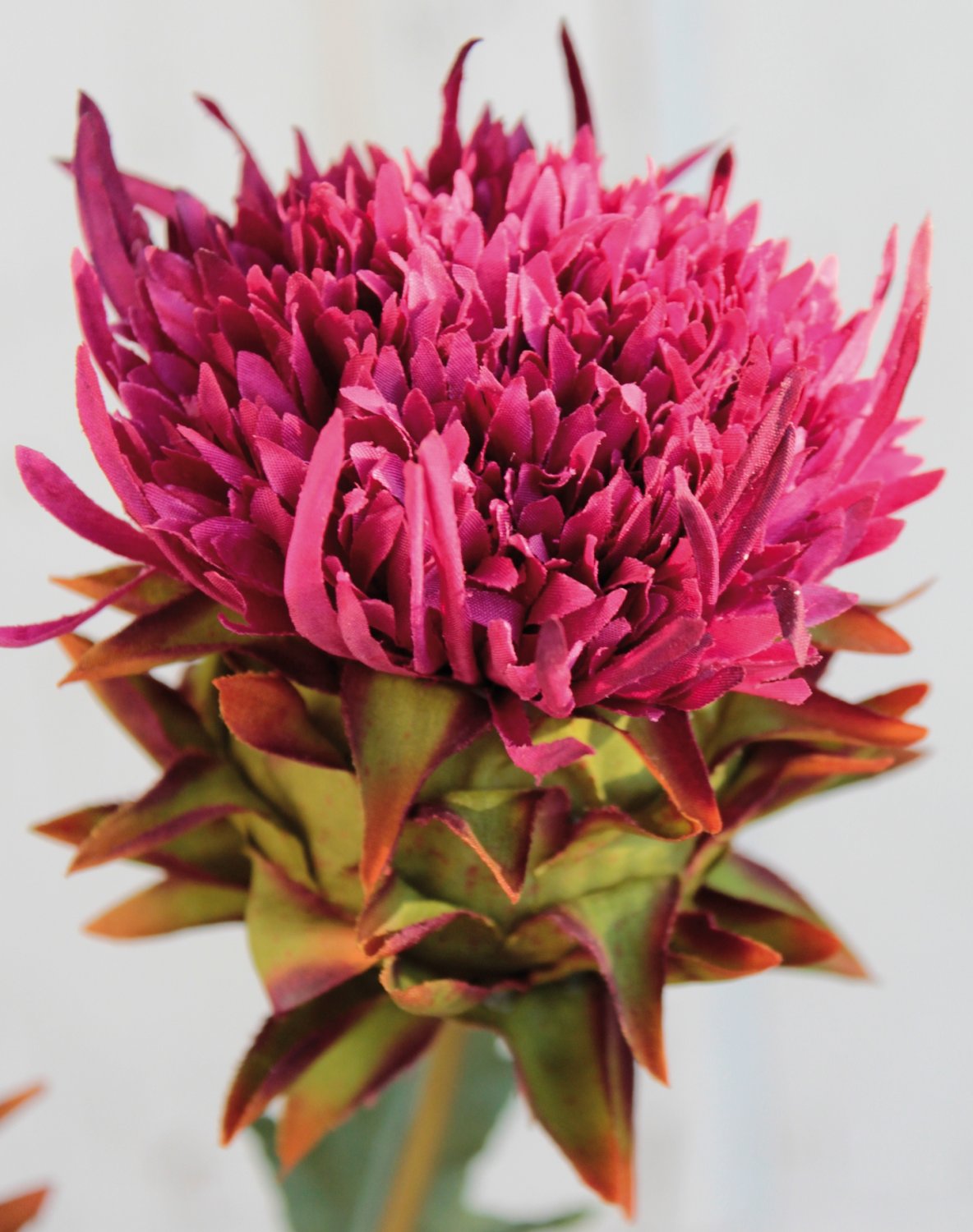 Cardo artificiale, 1 fiore, 1 boccioli, 54 cm, trendy purple