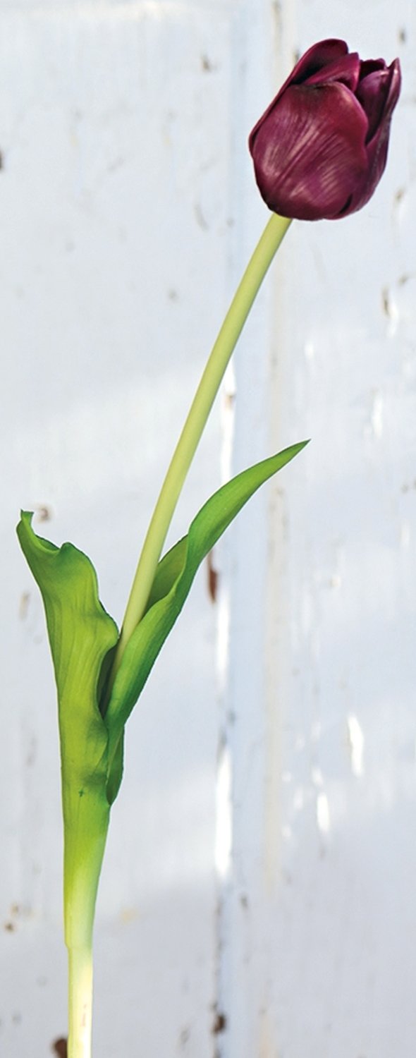 Künstliche Tulpe, französisch, 47 cm, Real Touch, violett-grün