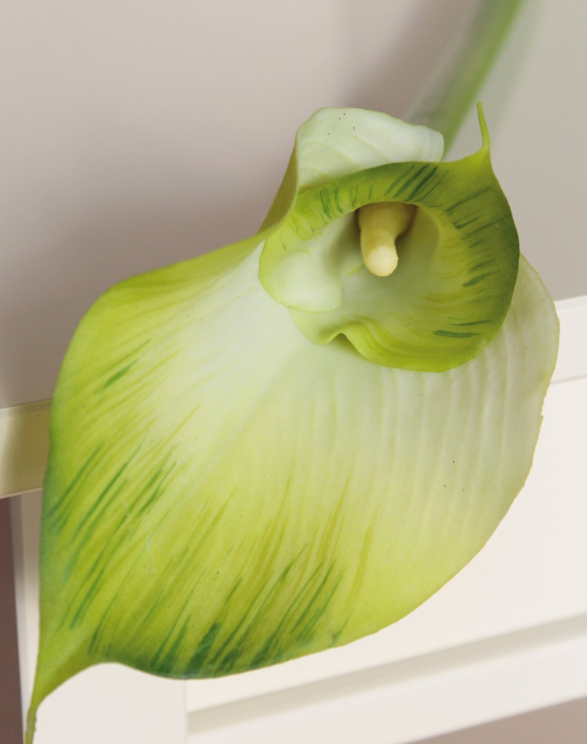 Künstliche Calla 'doppelt', 77 cm, Real Touch, grün-weiß