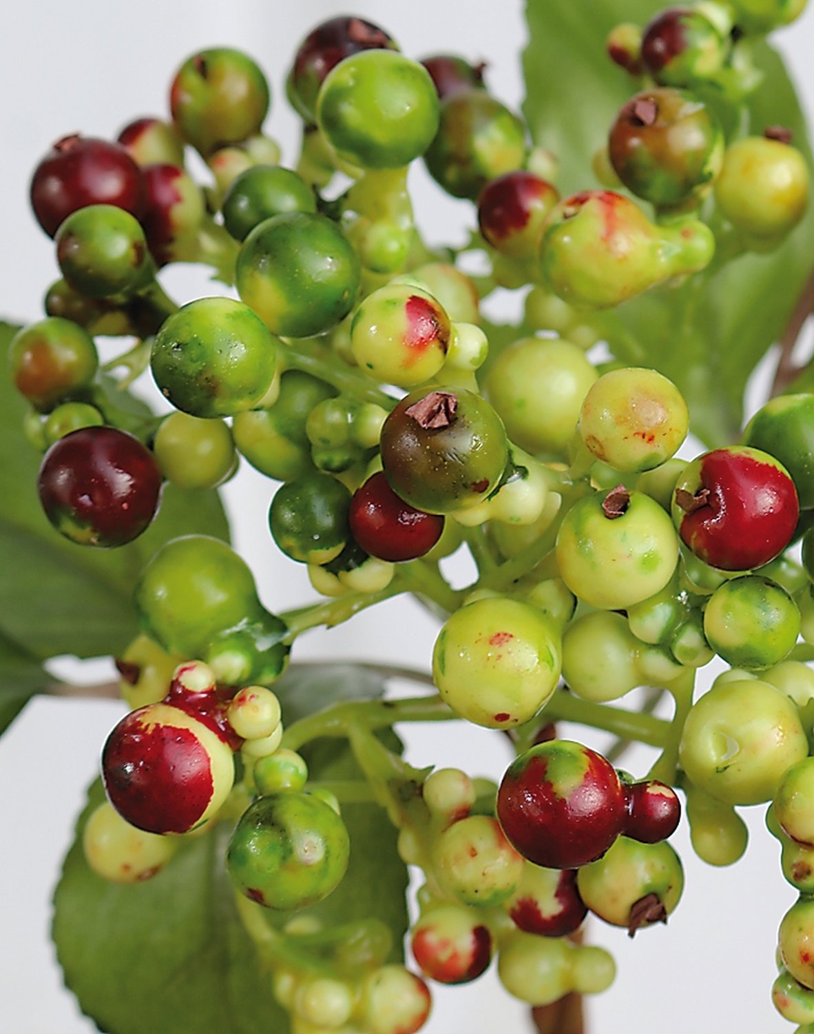 Artificial berries on stick, 30 cm, green-red