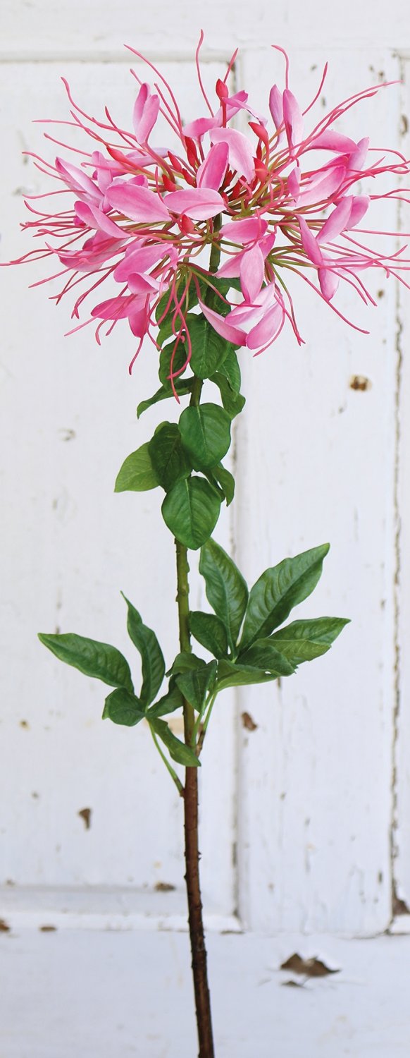Artificial spider flower (cleome), 85 cm, pink