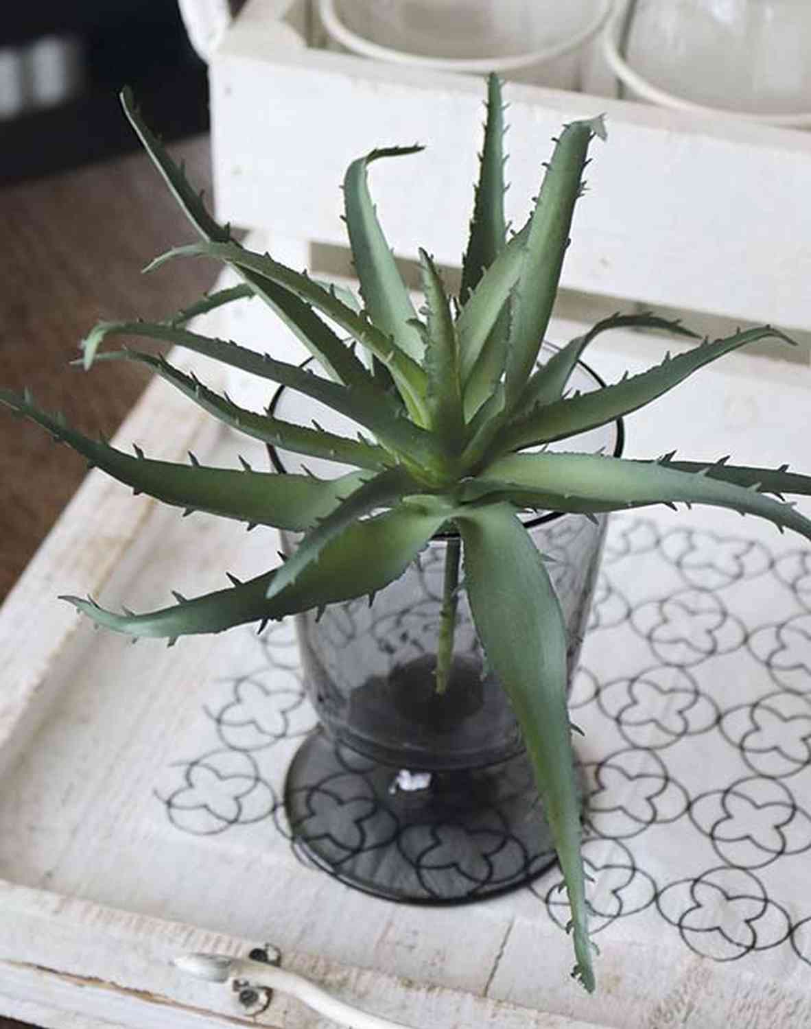 Künstliche Aloe Vera auf Steckstab, 18 cm, dunkelgrün