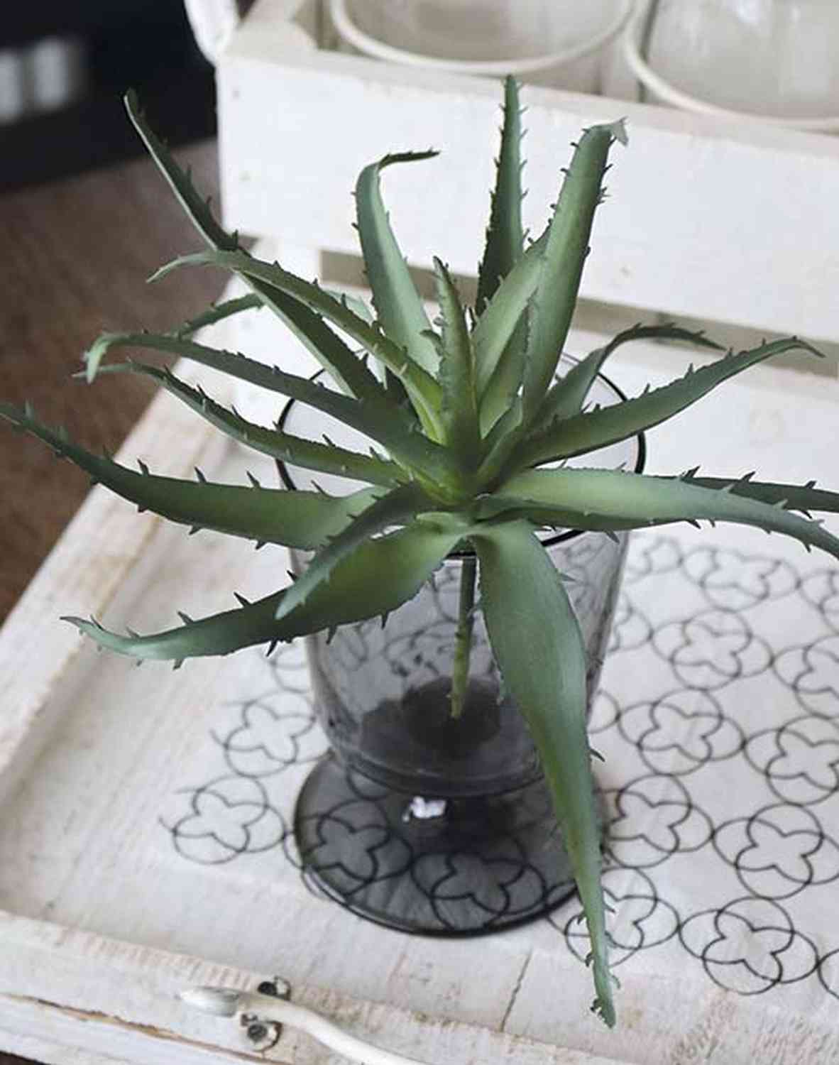 Faux aloe vera on stick, 18 cm, dark green