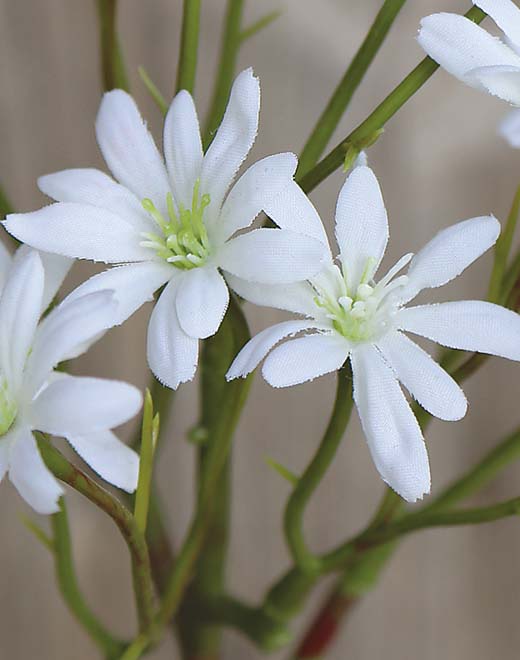 Artificial sea aster, 45 cm, beige-white