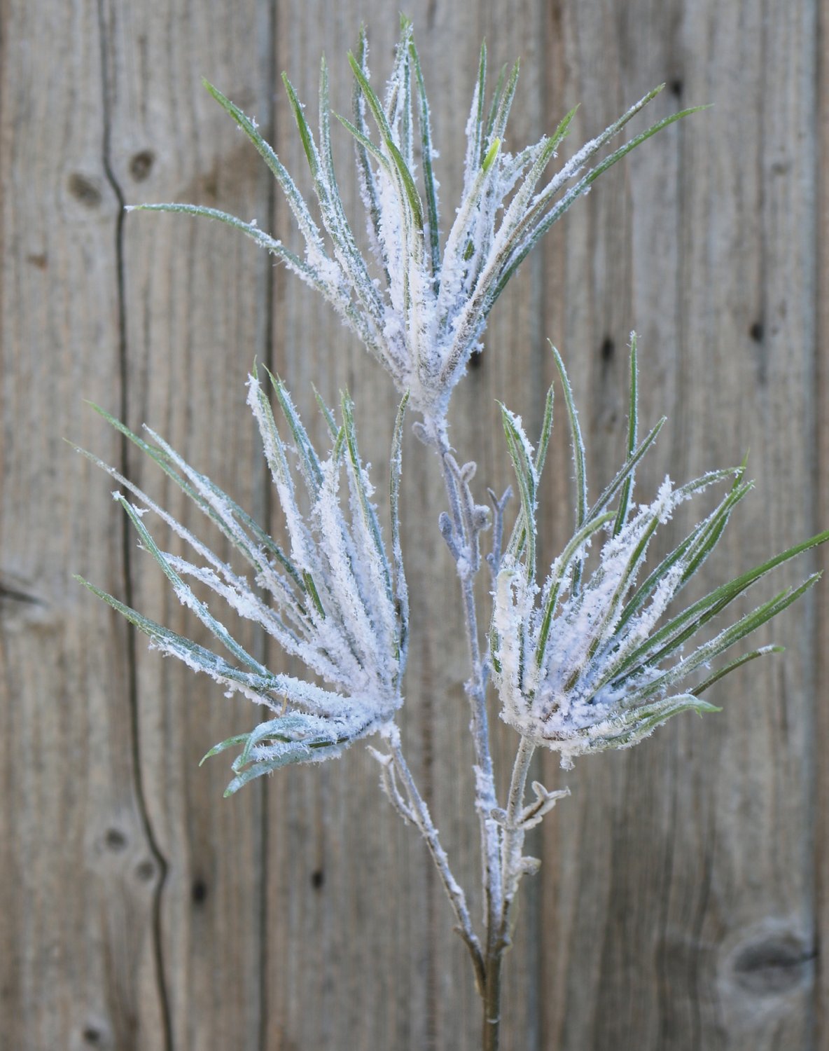 Künstlicher Pinienzweig mit Schnee, 50 cm, grün-weiß