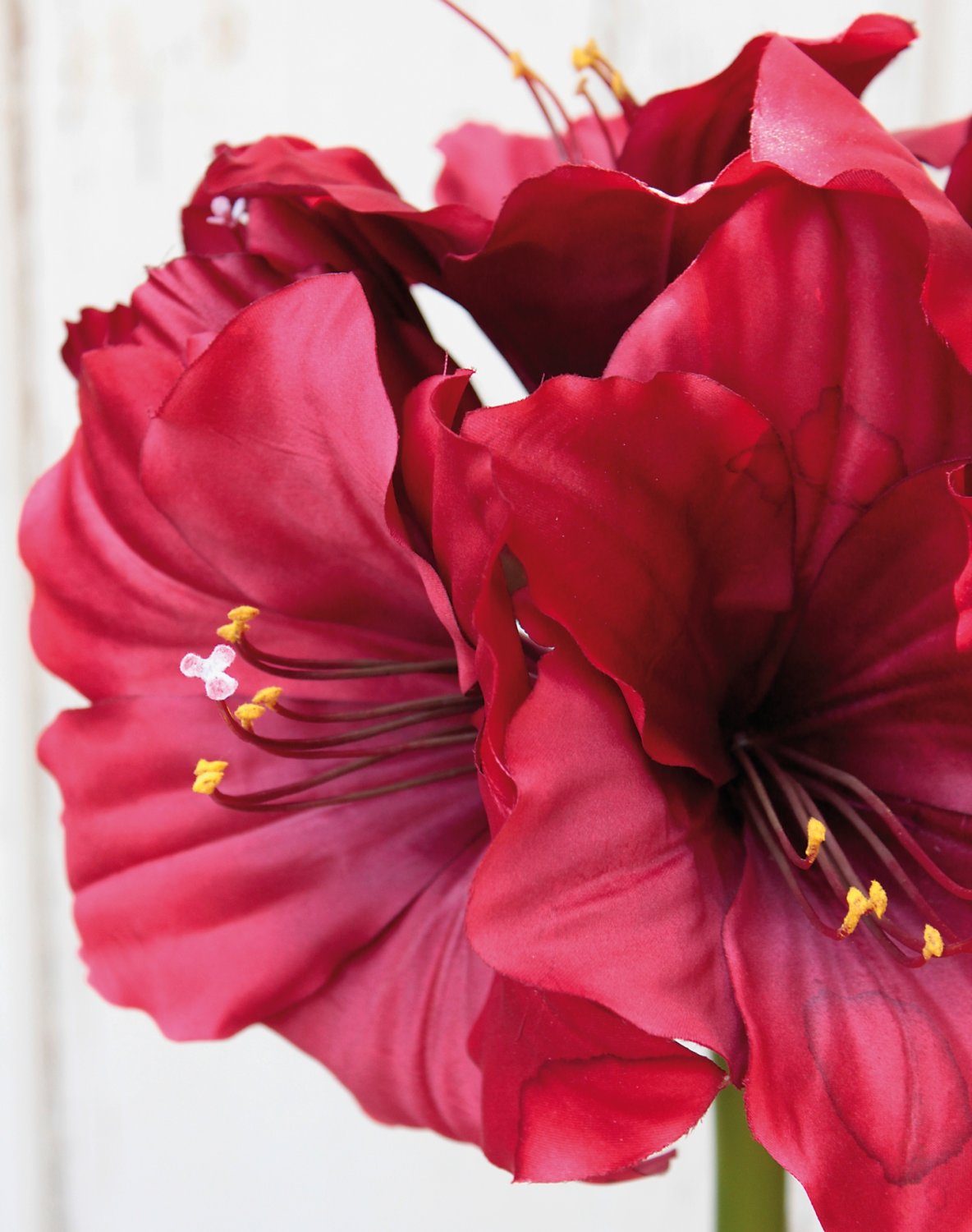 Silk amaryllis, 71 cm, red