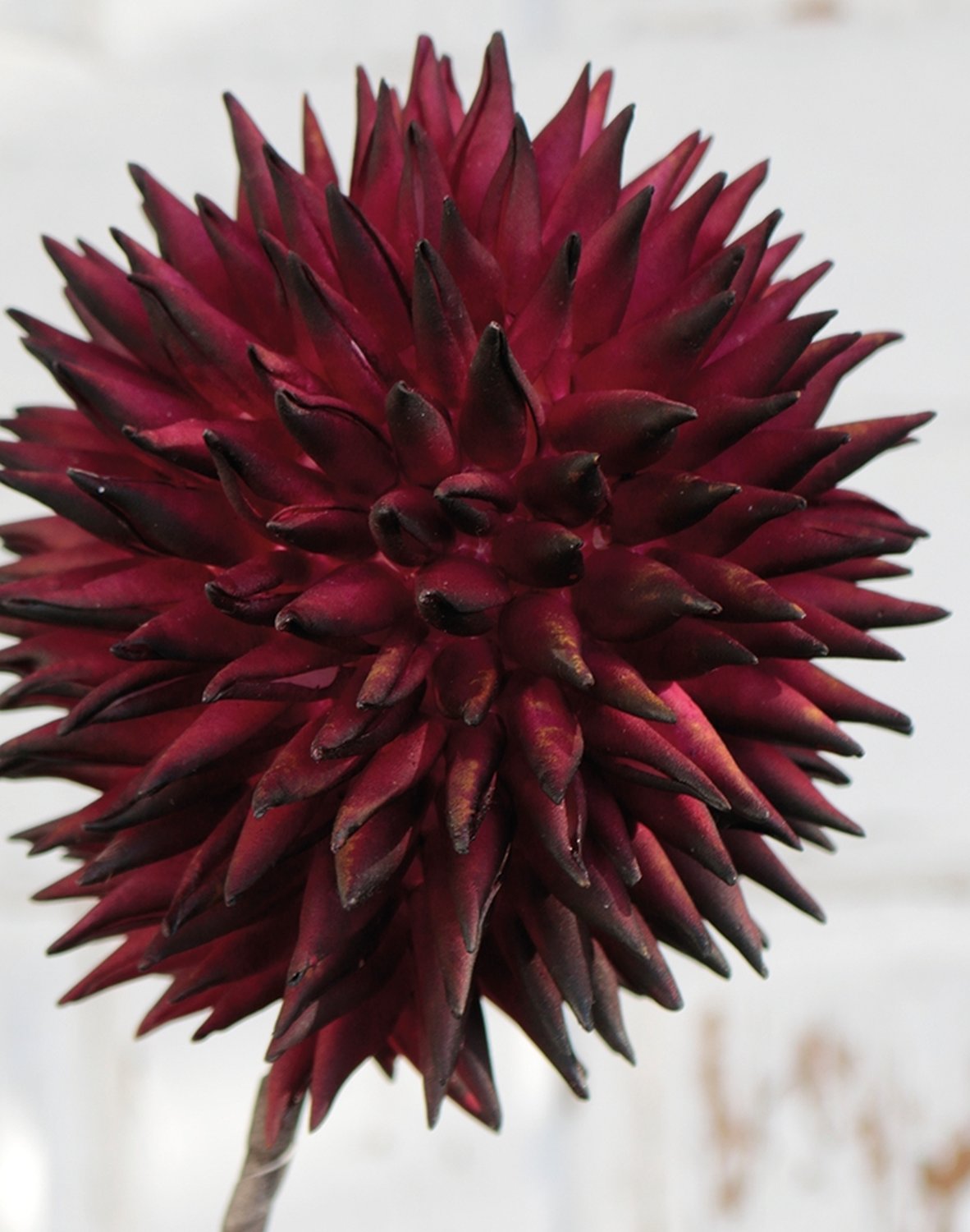 Artificial soft flower 'allium', 80 cm, trendy purple