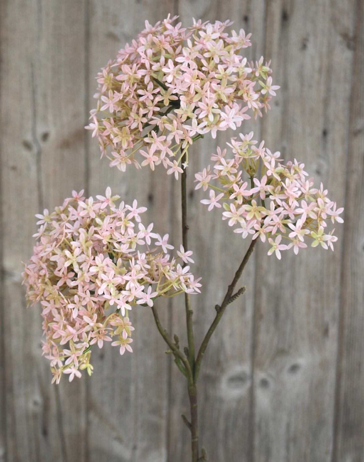 Künstliche Kronenblume, 3-fach, 76 cm, rosa-grün