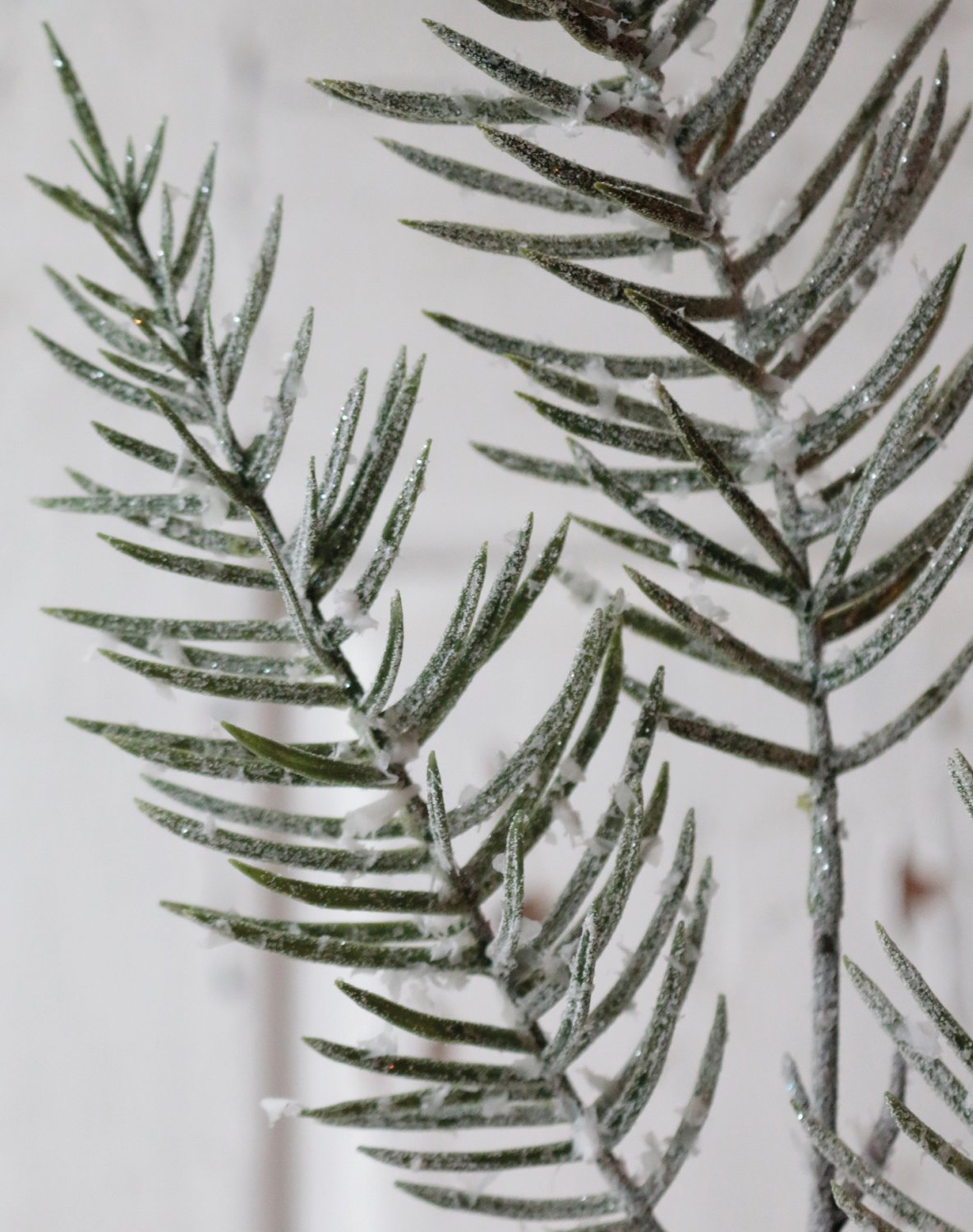 False cypress branch, 50 cm, frosted green