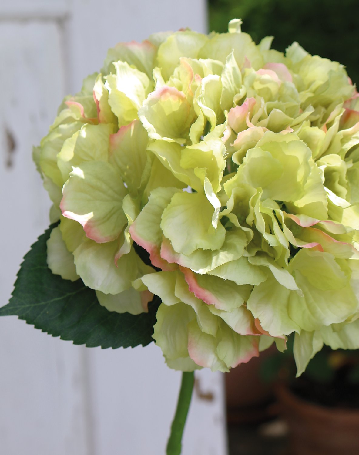 Silk hydrangea, 40 cm, beige-green