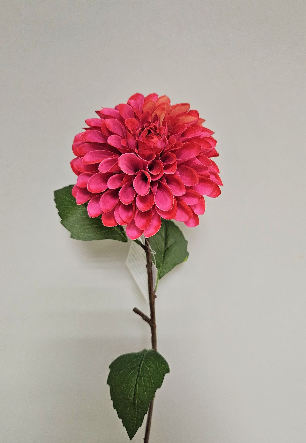 Künstliche Dahlie, 57 cm, Soft Feel, coralle