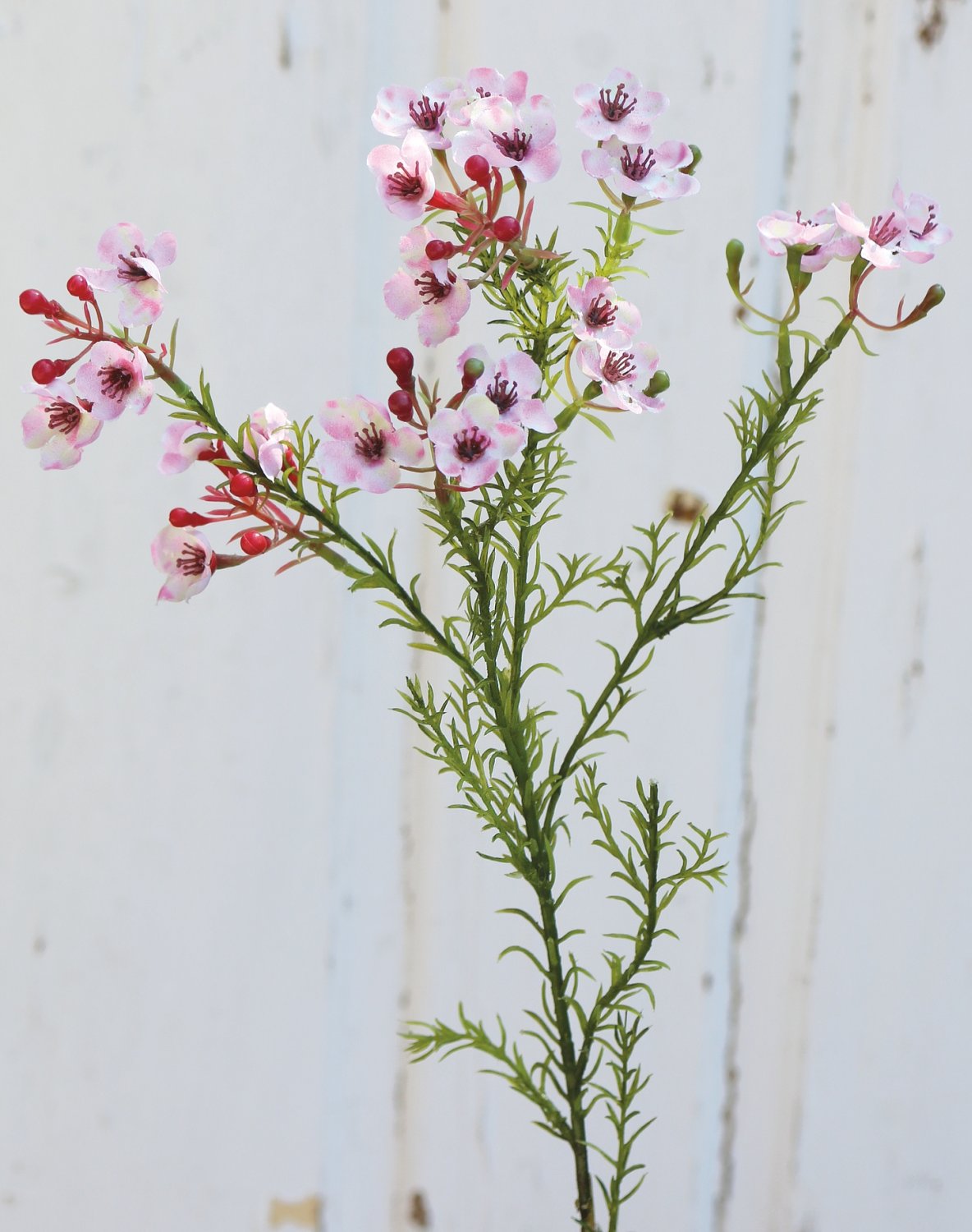 Fiore di cera artificiale, 65 cm, rosa