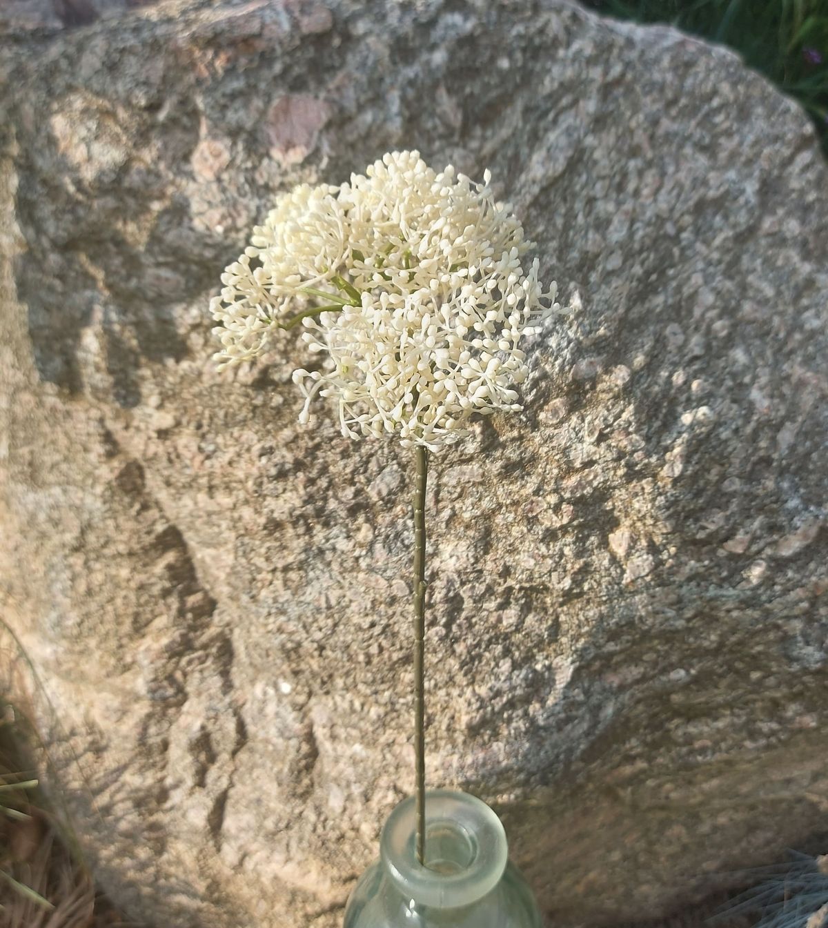 Rama de viburnum artificial "Vintage", 54 cm, blanco-crema Rama de viburnum artificial "Vintage", 54 cm, blanco-crema