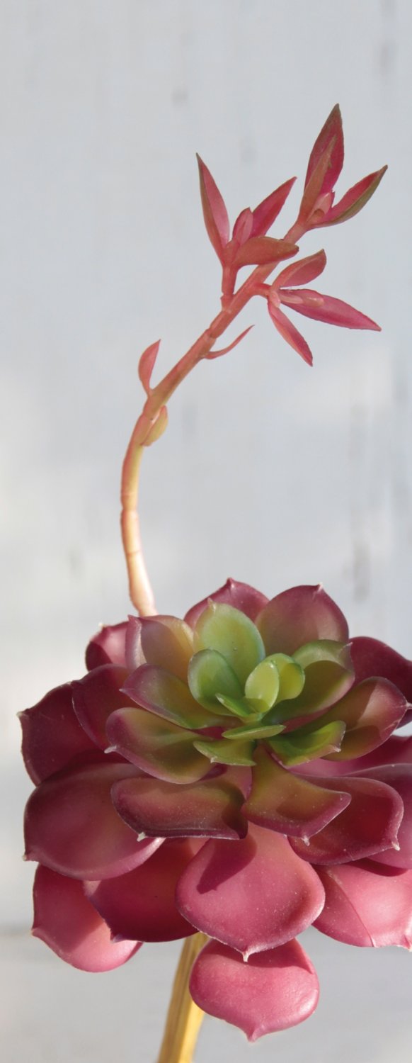 Künstliche Echeveria auf Steckstab, 15 cm, Ø 10 cm, grün-burgunderrot