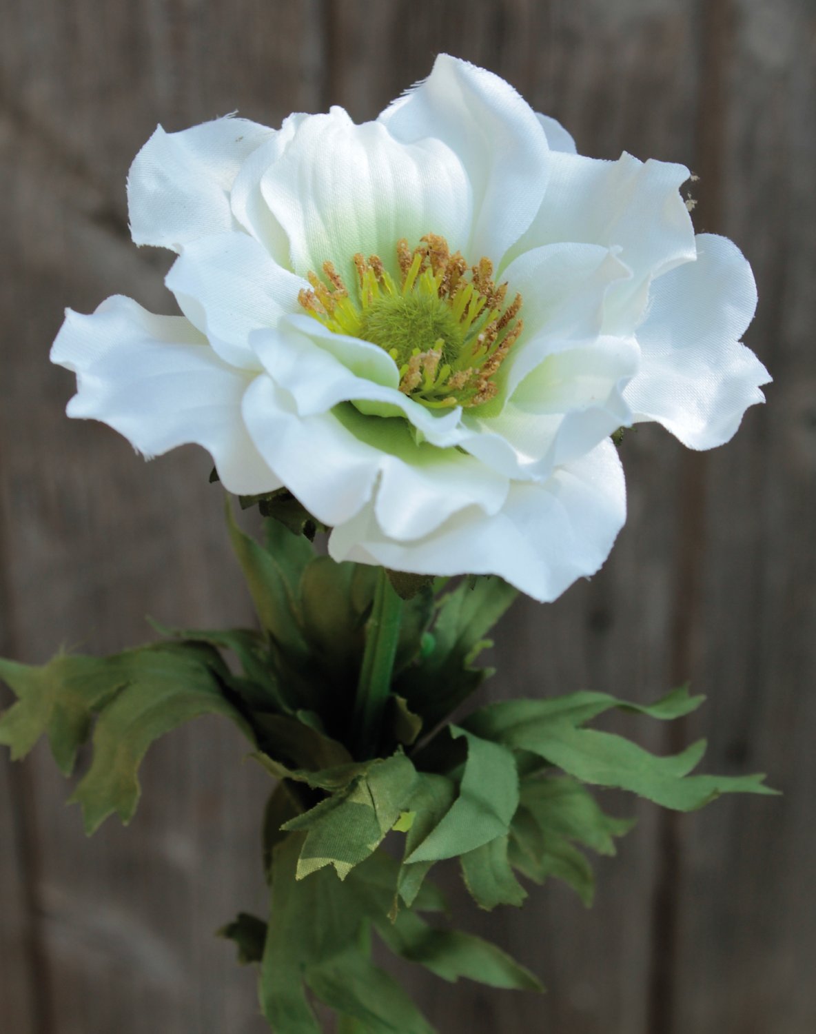 Künstliche Anemone, 35 cm, creme-weiß