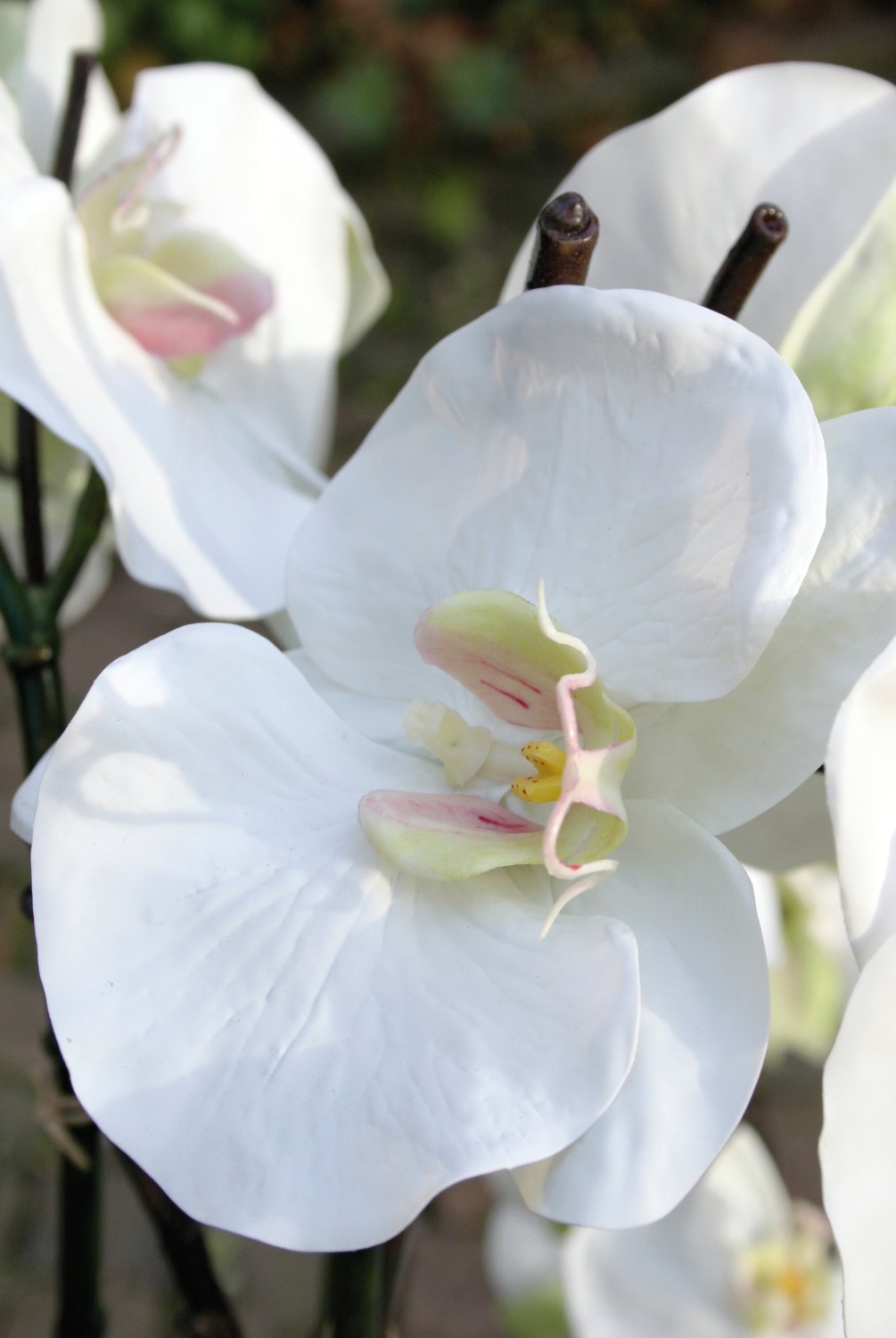 Artificial Phalaenopsis orchid in a glass bowl, 8-fold, 81 cm, white