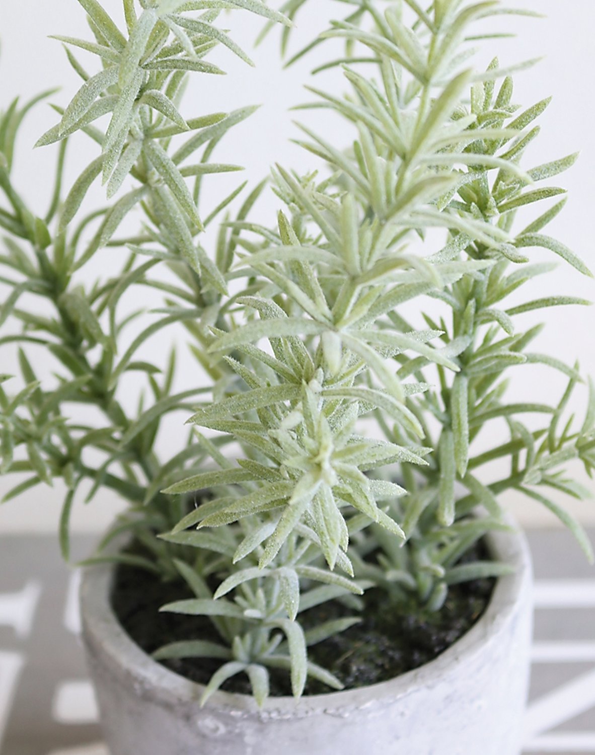 Faux rosemary, potted, 19 cm, green