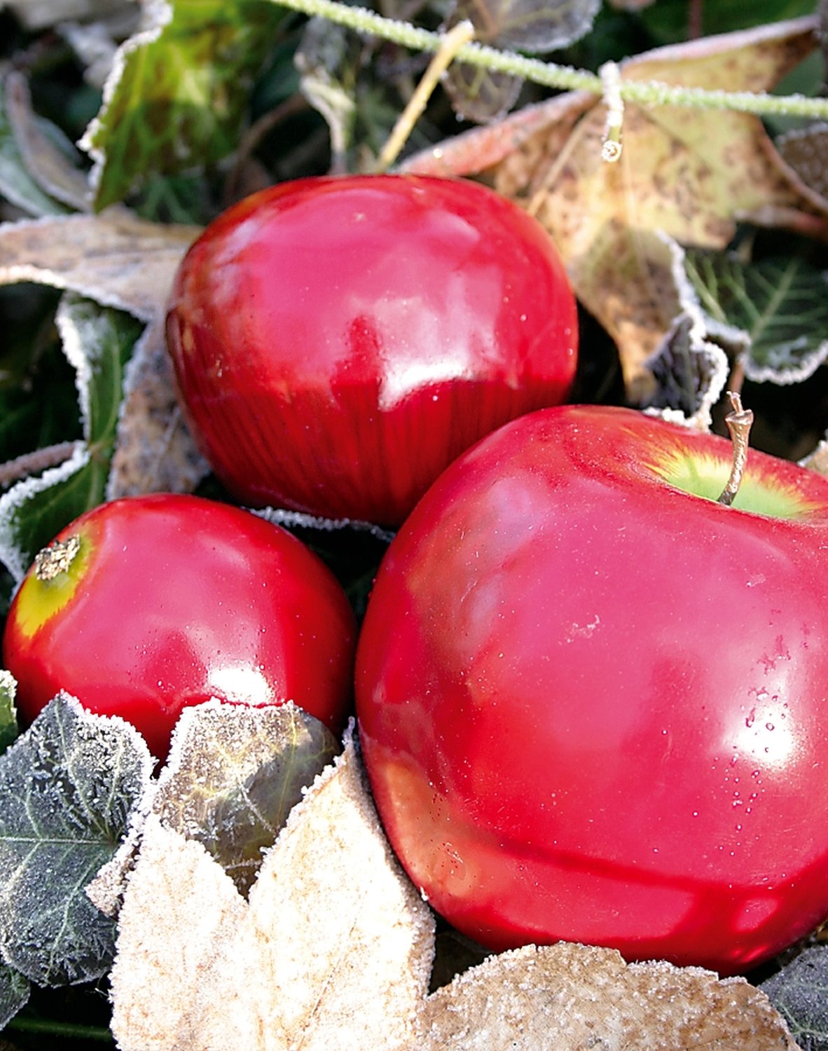 Künstlicher Apfel, 8 cm, rot