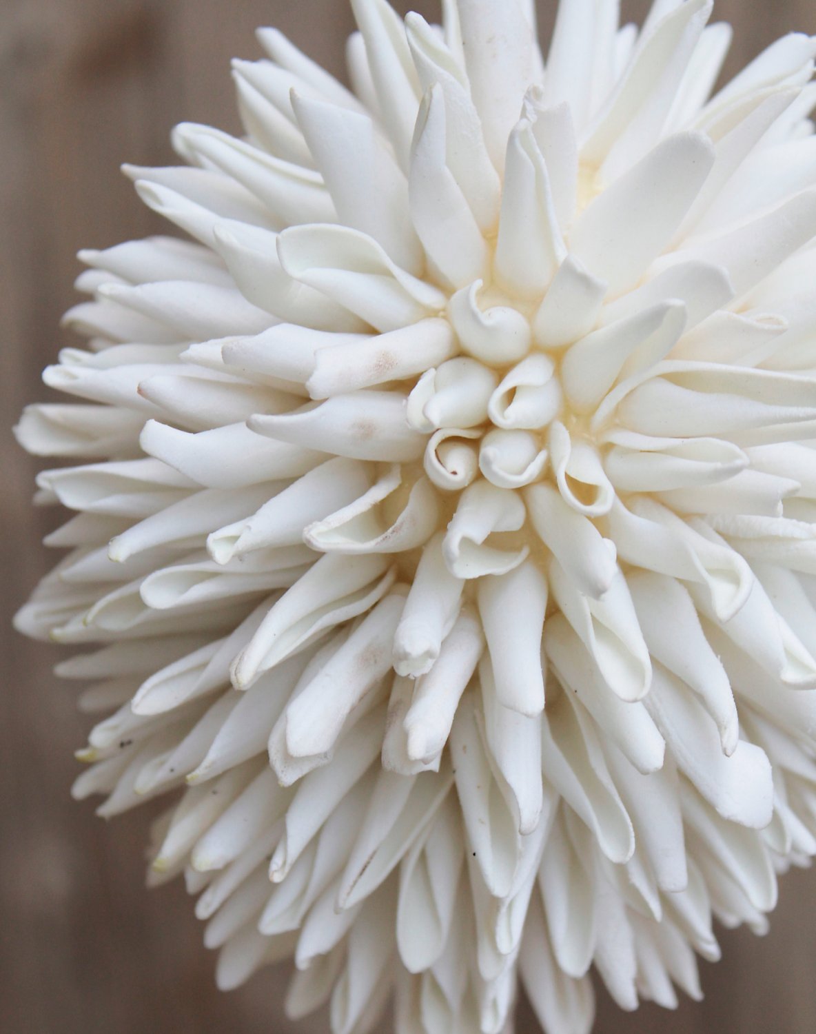 Artificial soft flower 'allium', 80 cm, pure white