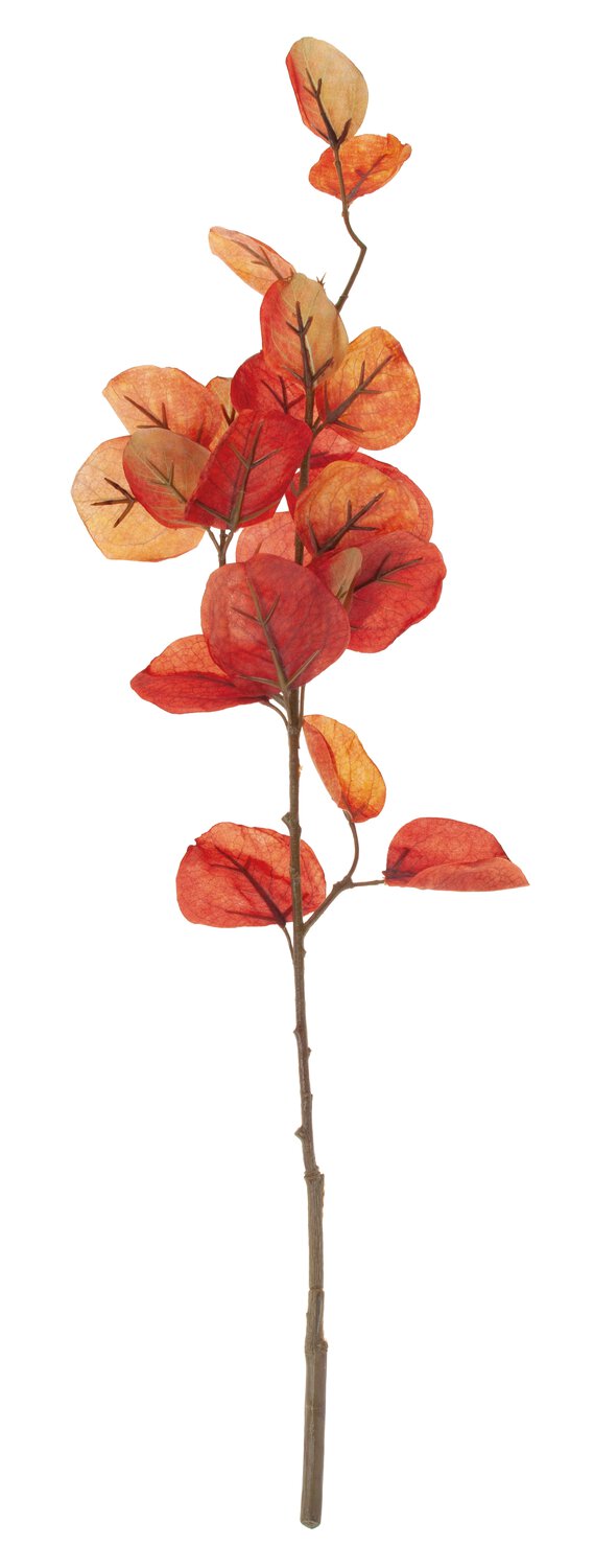 Rama de eucalipto artificial, 60 cm, marrón otoñal Rama de eucalipto artificial, 60 cm, marrón otoñal