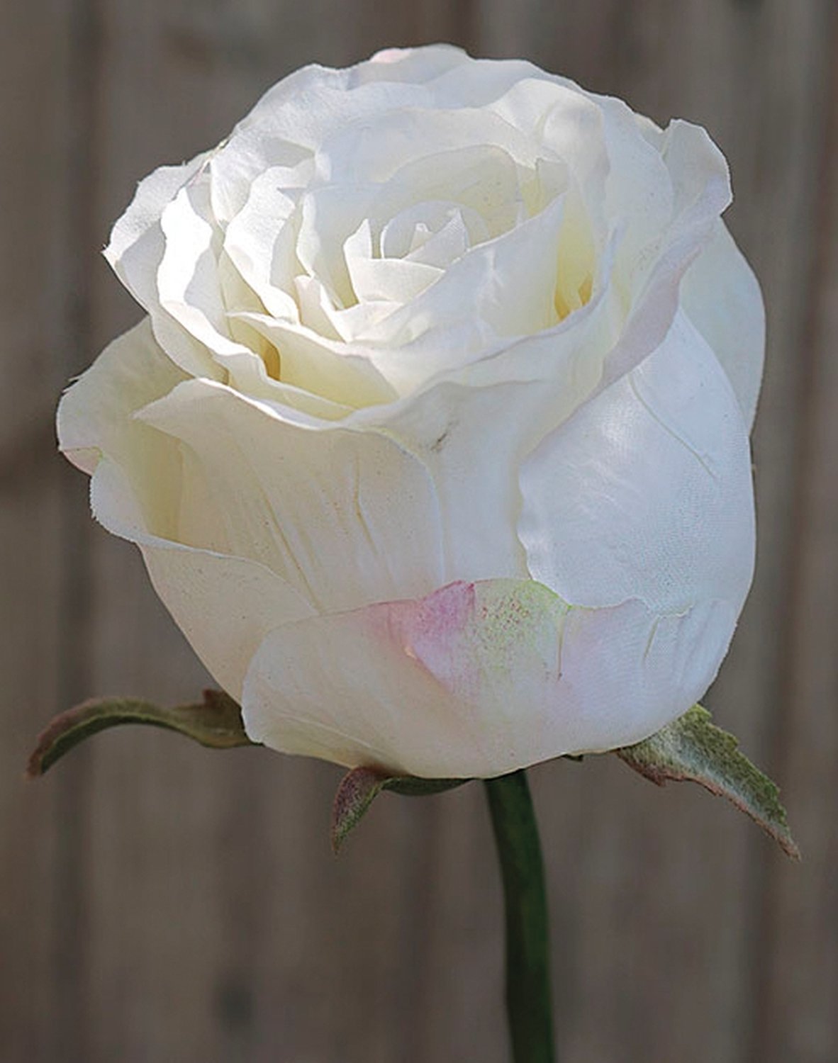 Künstliche Rose Duchesse, 85 cm, creme-weiß