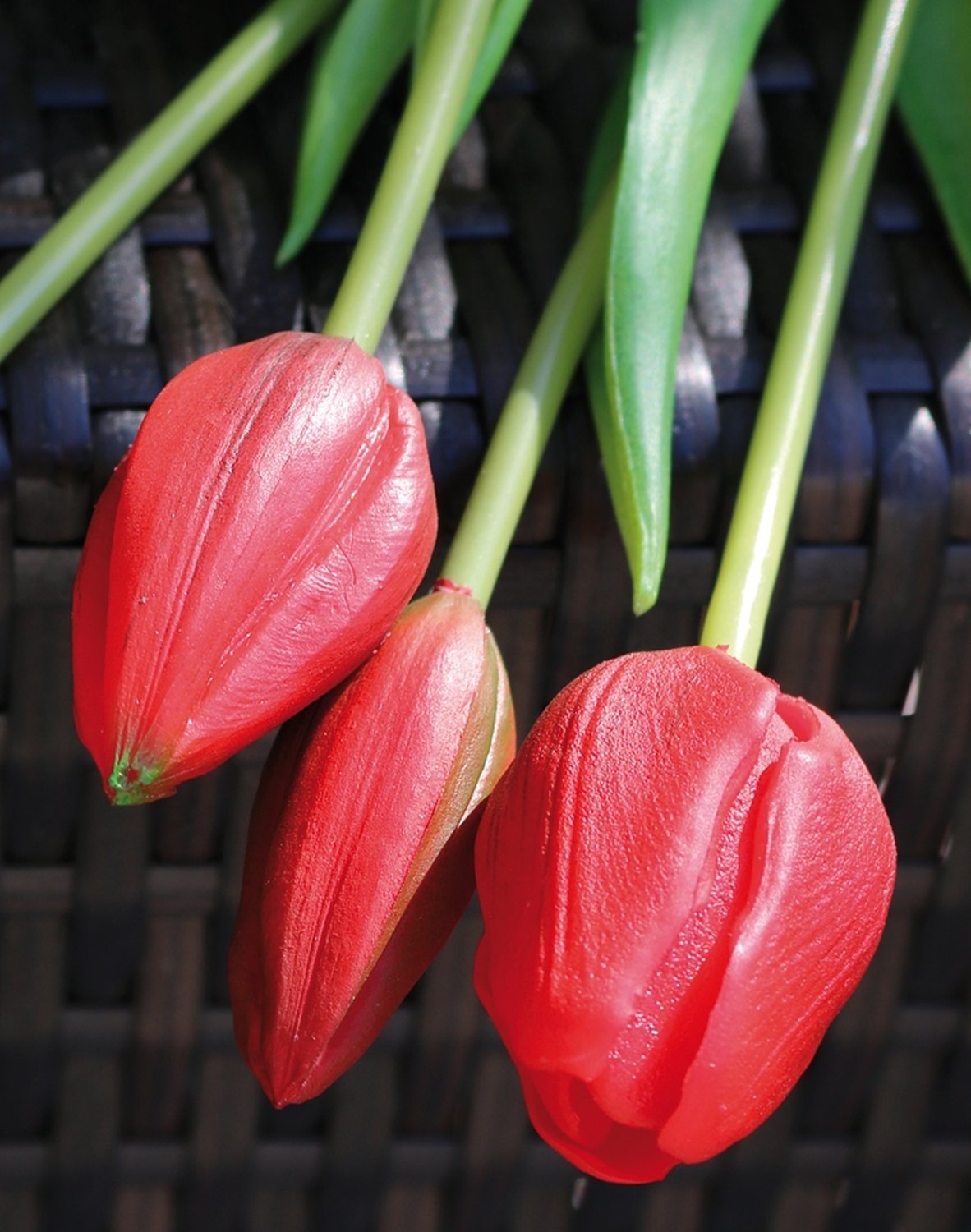 Künstlicher Tulpenbund, französisch, gemischt, 5-fach, 47 cm, Real Touch, rot