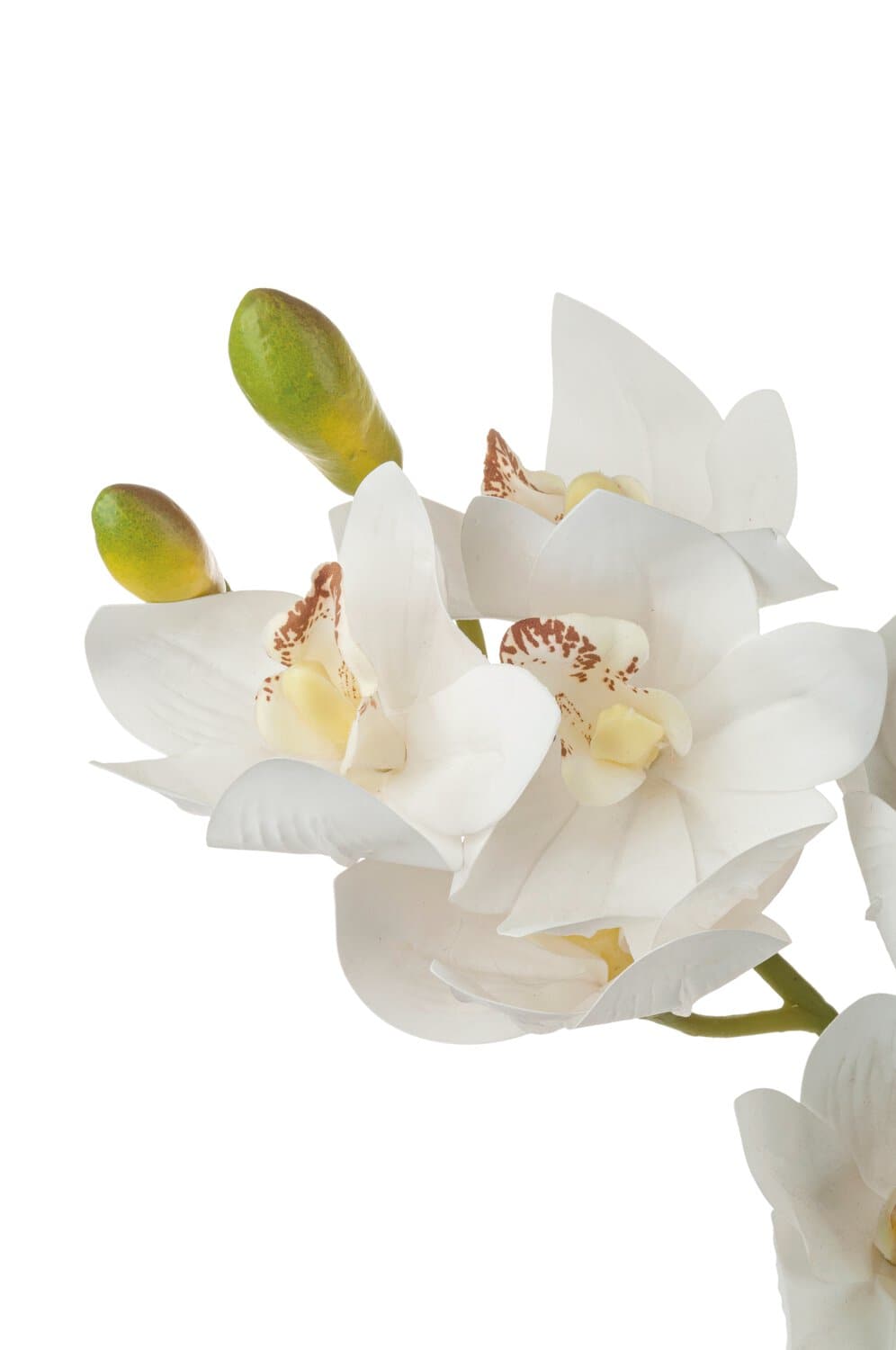Kunstorchidee Cymbidium mit 10 Blüten, 74 cm, Ø 9 cm, Real Touch, creme-weiß